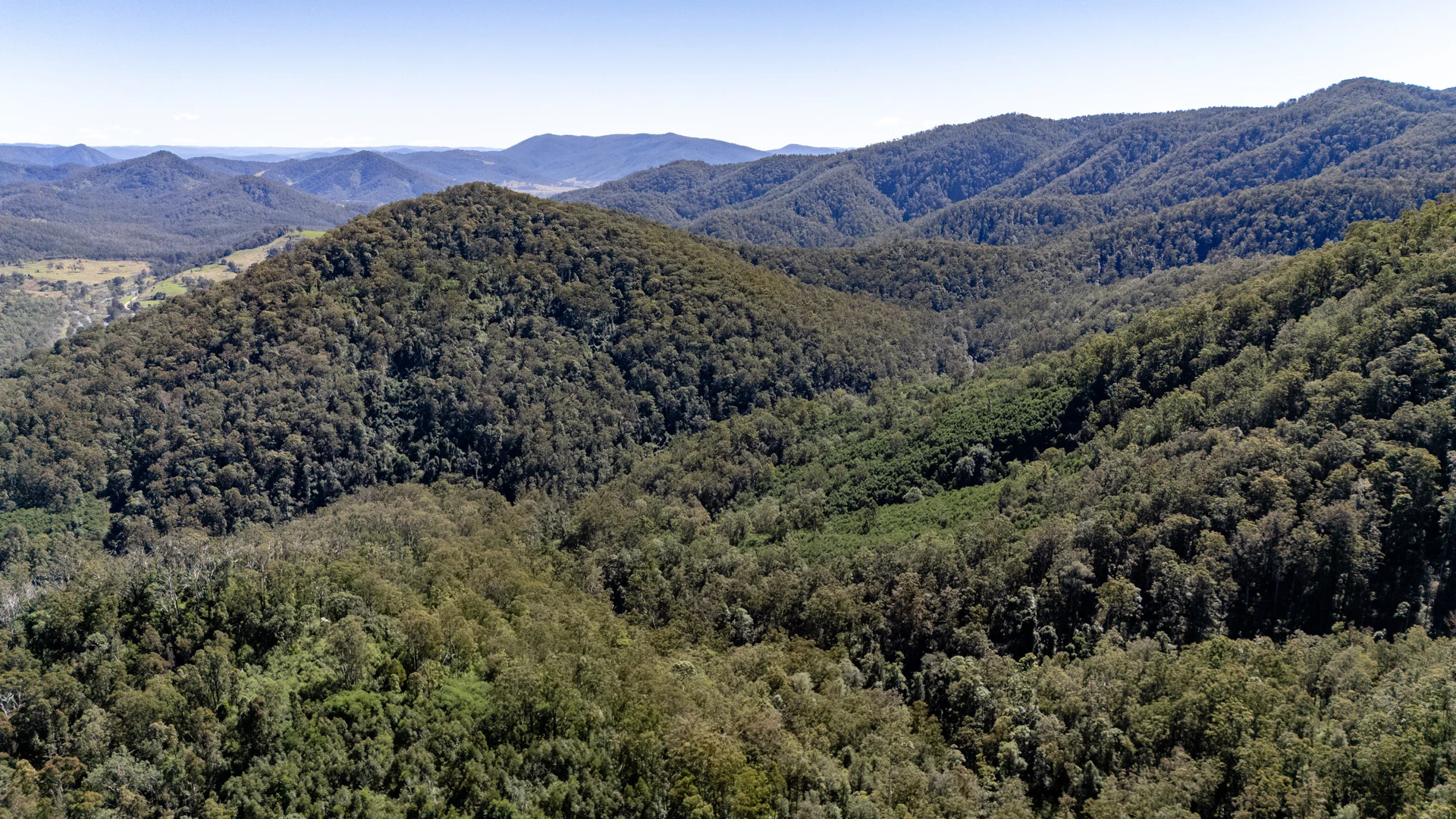 Additional image 10 of 3542 Nowendoc Road, Caffreys Flat NSW 2424