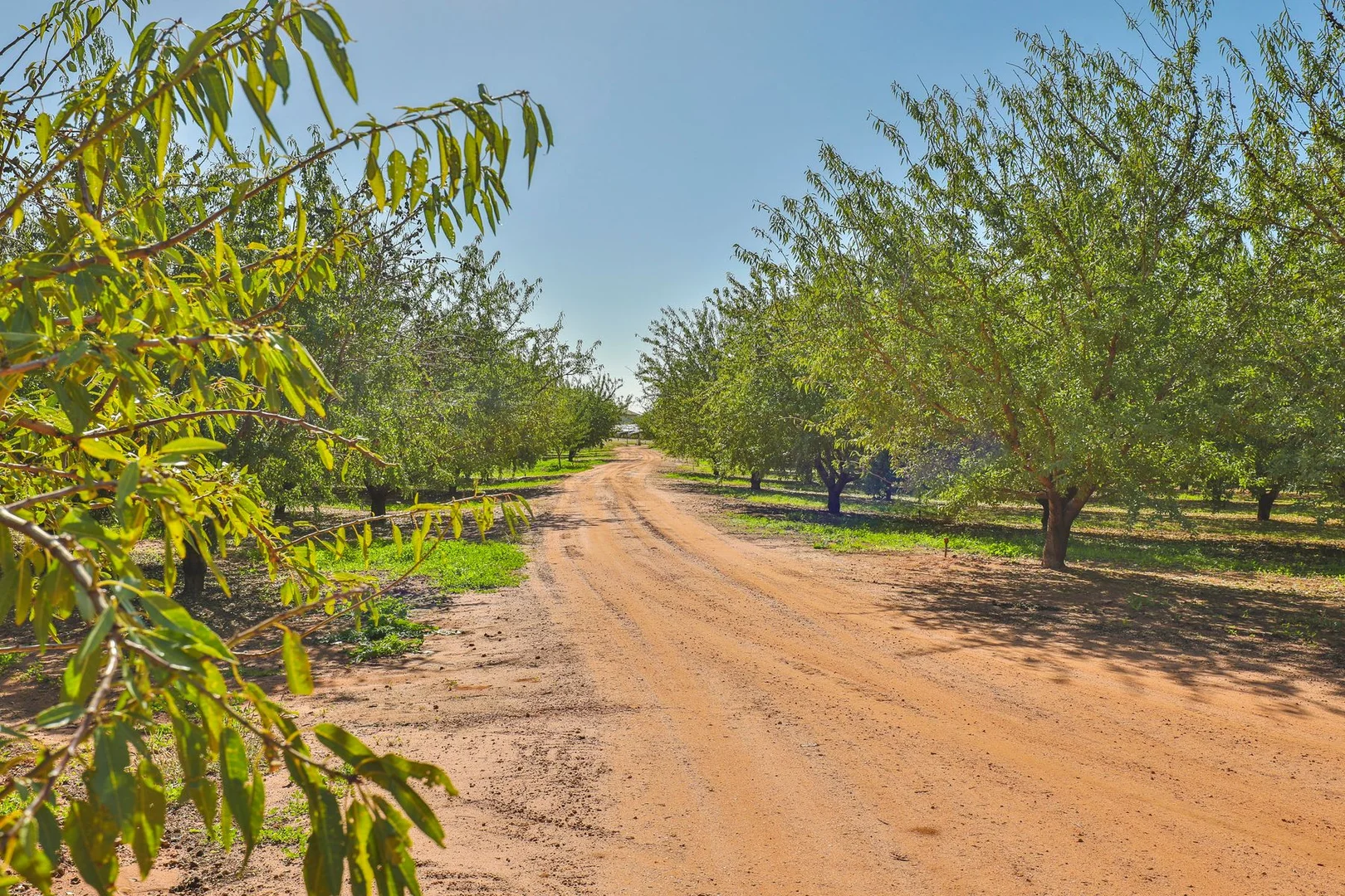 Additional image 9 of 182 Carey Street and 210 Dumosa Street, Red Cliffs VIC 3496