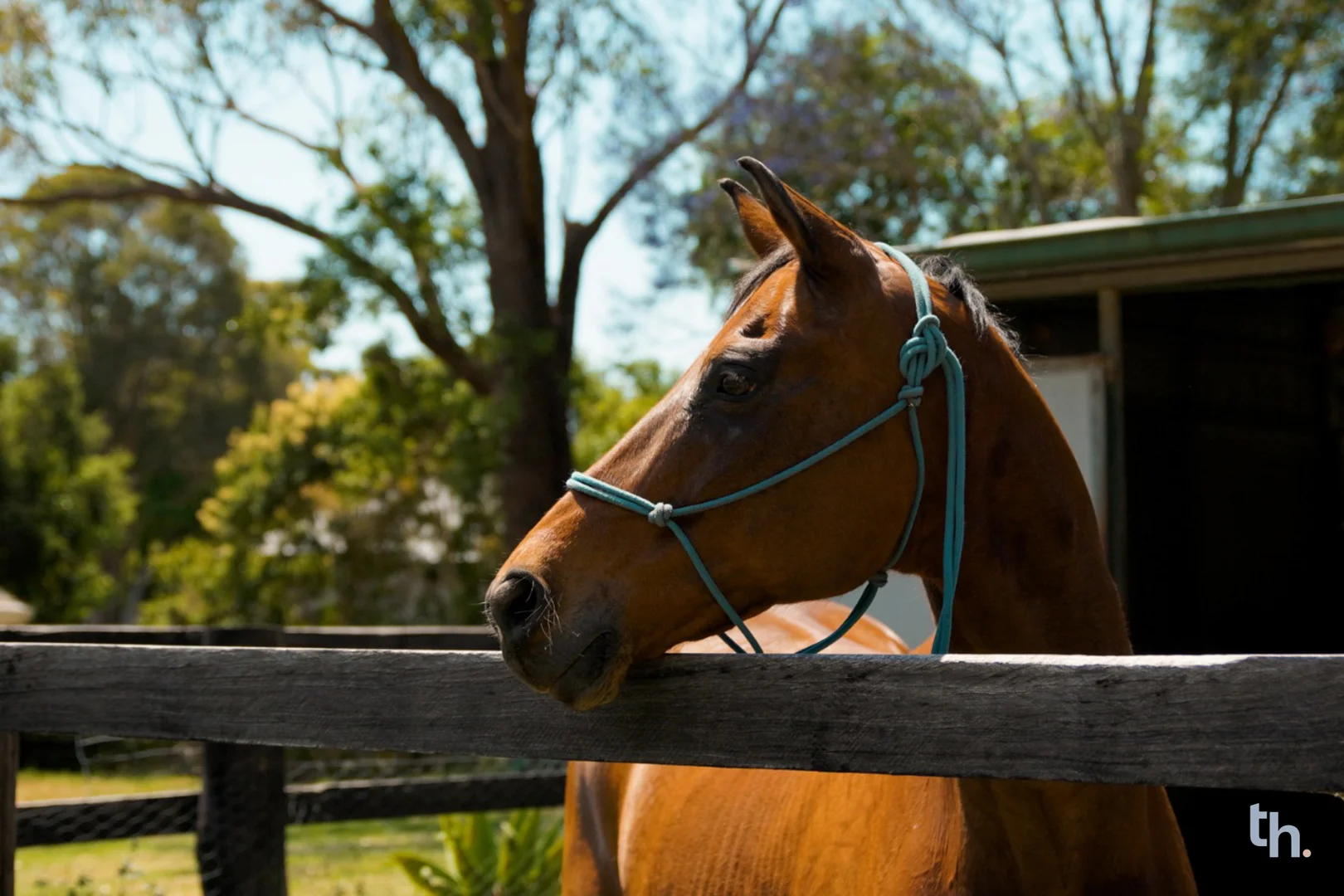 Additional image 26 of 74 Cherry Road, Eleebana NSW 2282