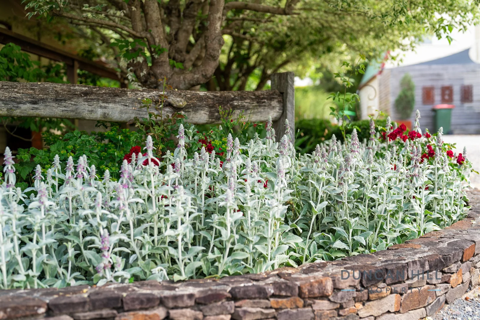 Additional image 26 of 4 Drapers Road, Willow Vale NSW 2575