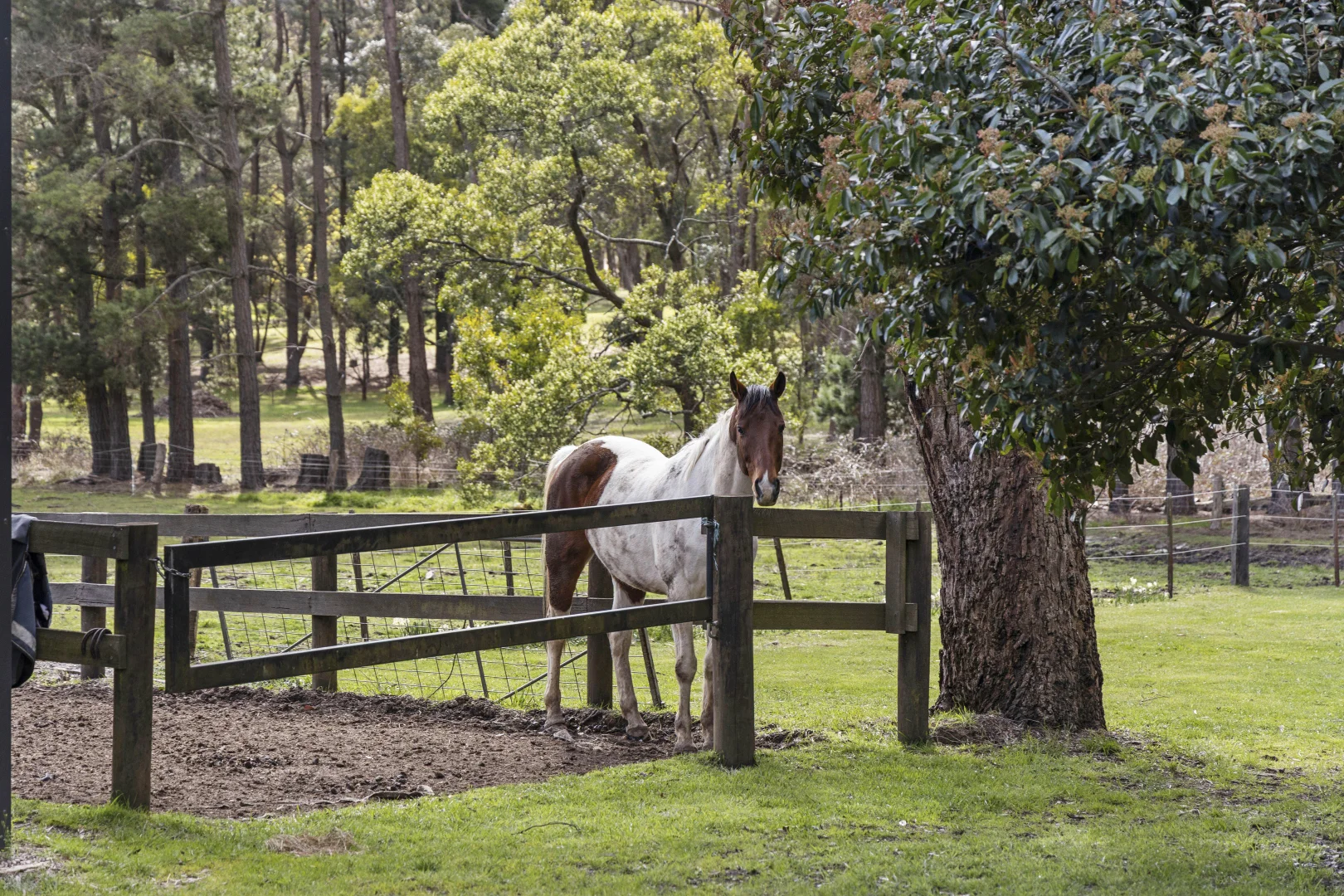 Additional image 21 of 23 Andrew Avenue, Woodend VIC 3442