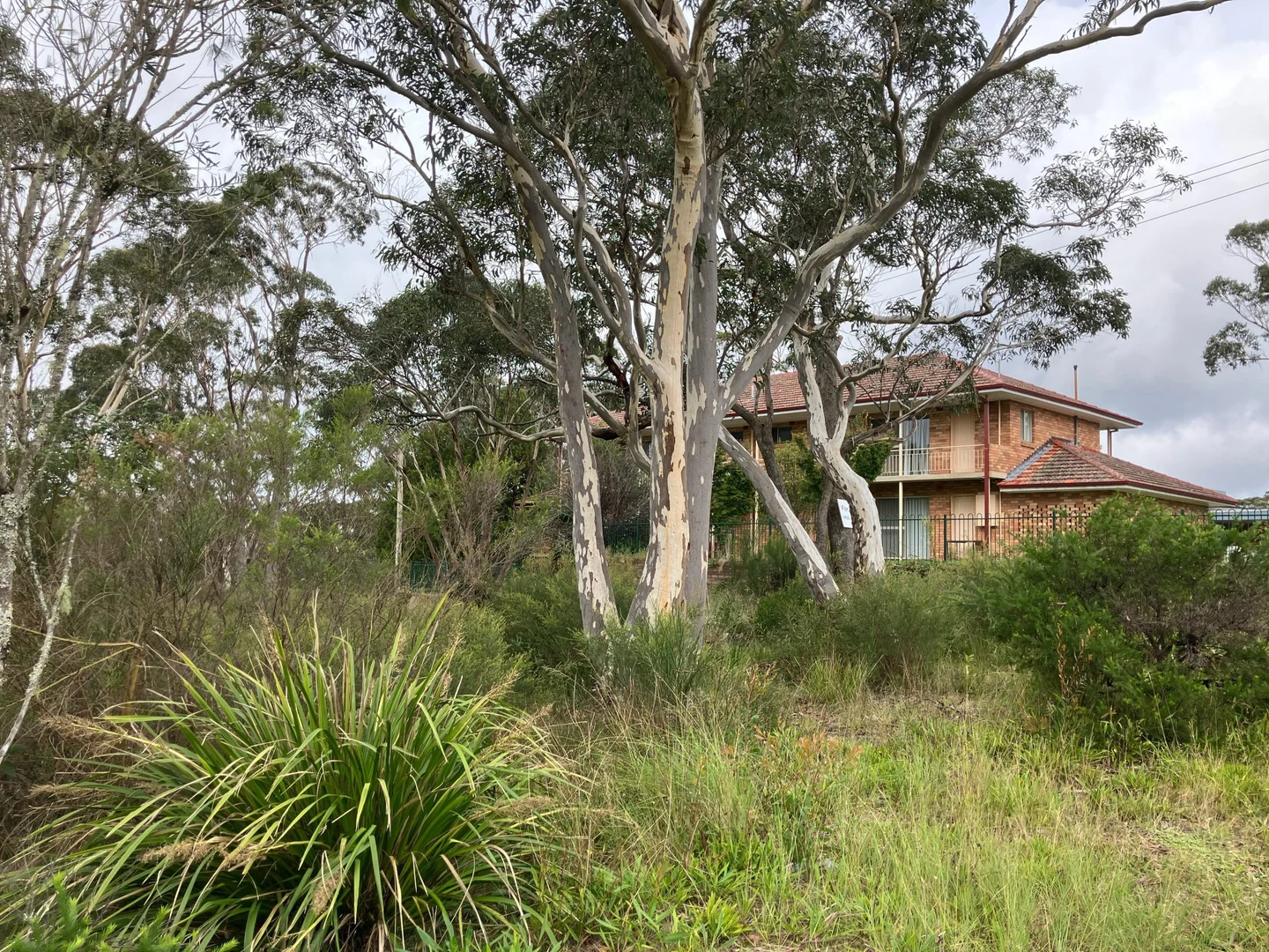 Additional image 5 of 1 Woodlands Road, Katoomba NSW 2780