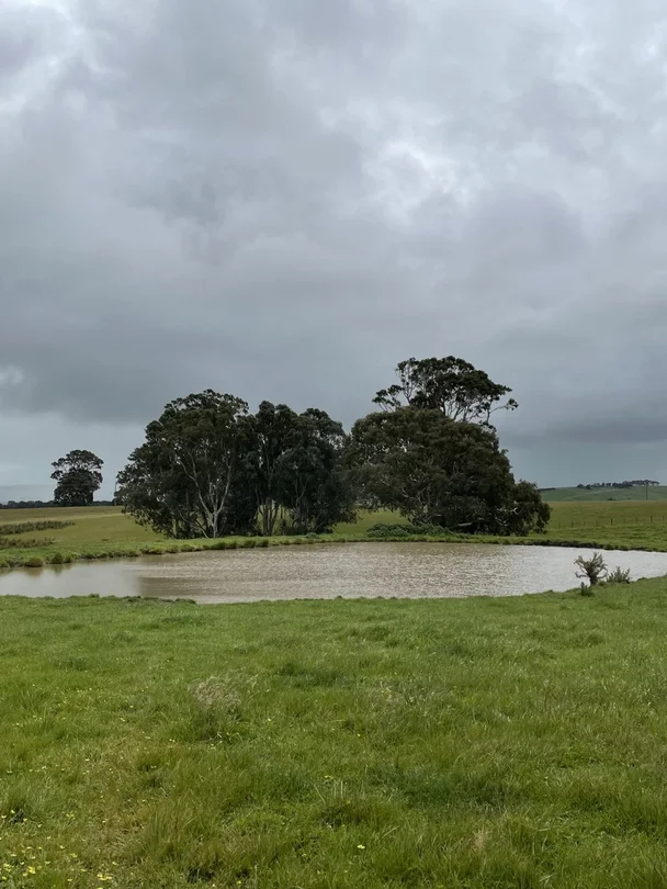 Portland-Casterton Road, Henty VIC 3312