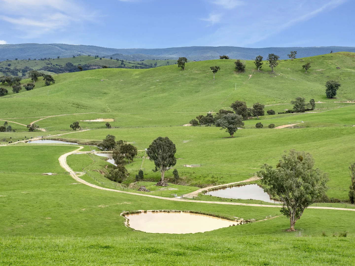 Additional image 2 of 146 Hobans Road, Alexandra VIC 3714