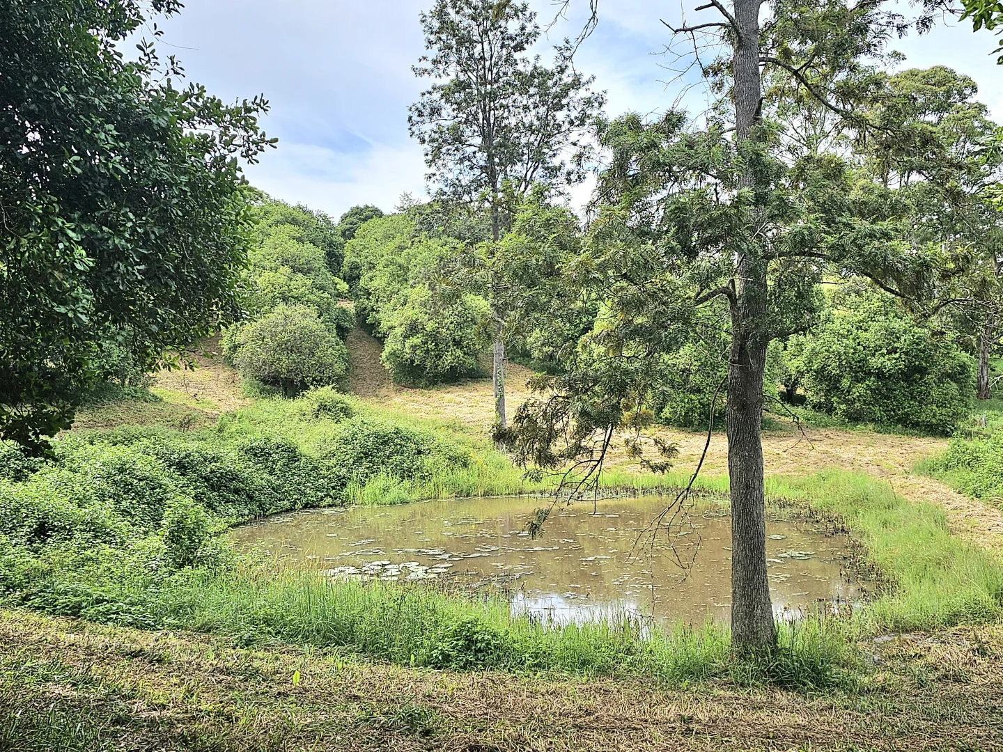 Additional image 30 of 5 Whian Whian Road, Dunoon NSW 2480