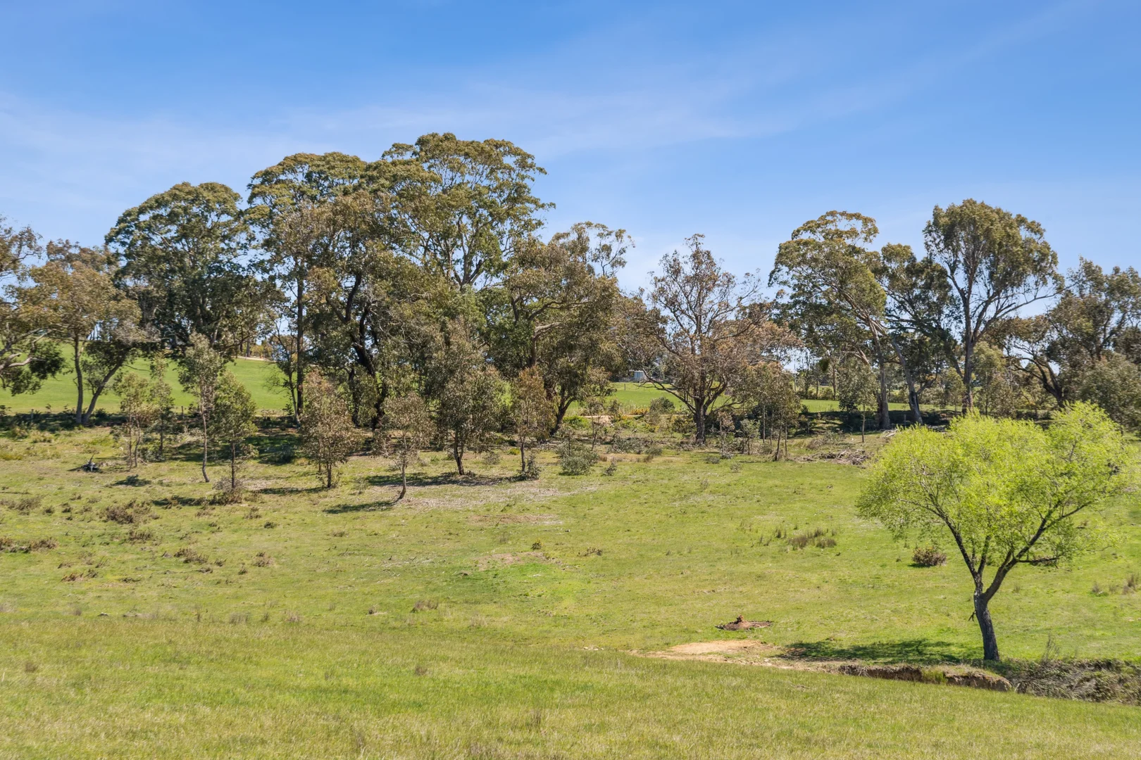 Additional image 4 of 86 Tyquins Road, Taradale VIC 3447