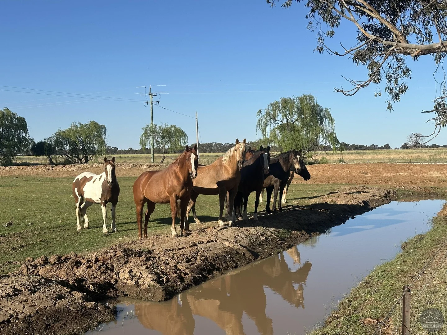 651 Jerilderie Road, Berrigan NSW 2712