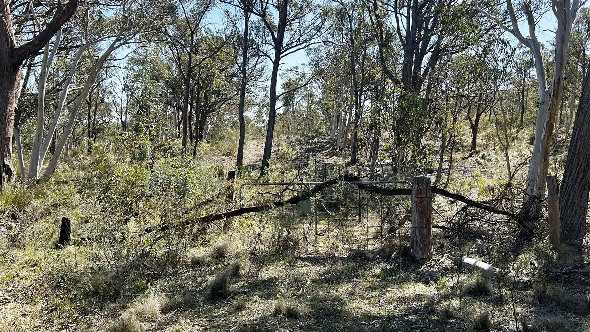 Additional image 5 of 1519 Mountain Ash Road, Bungonia NSW 2580