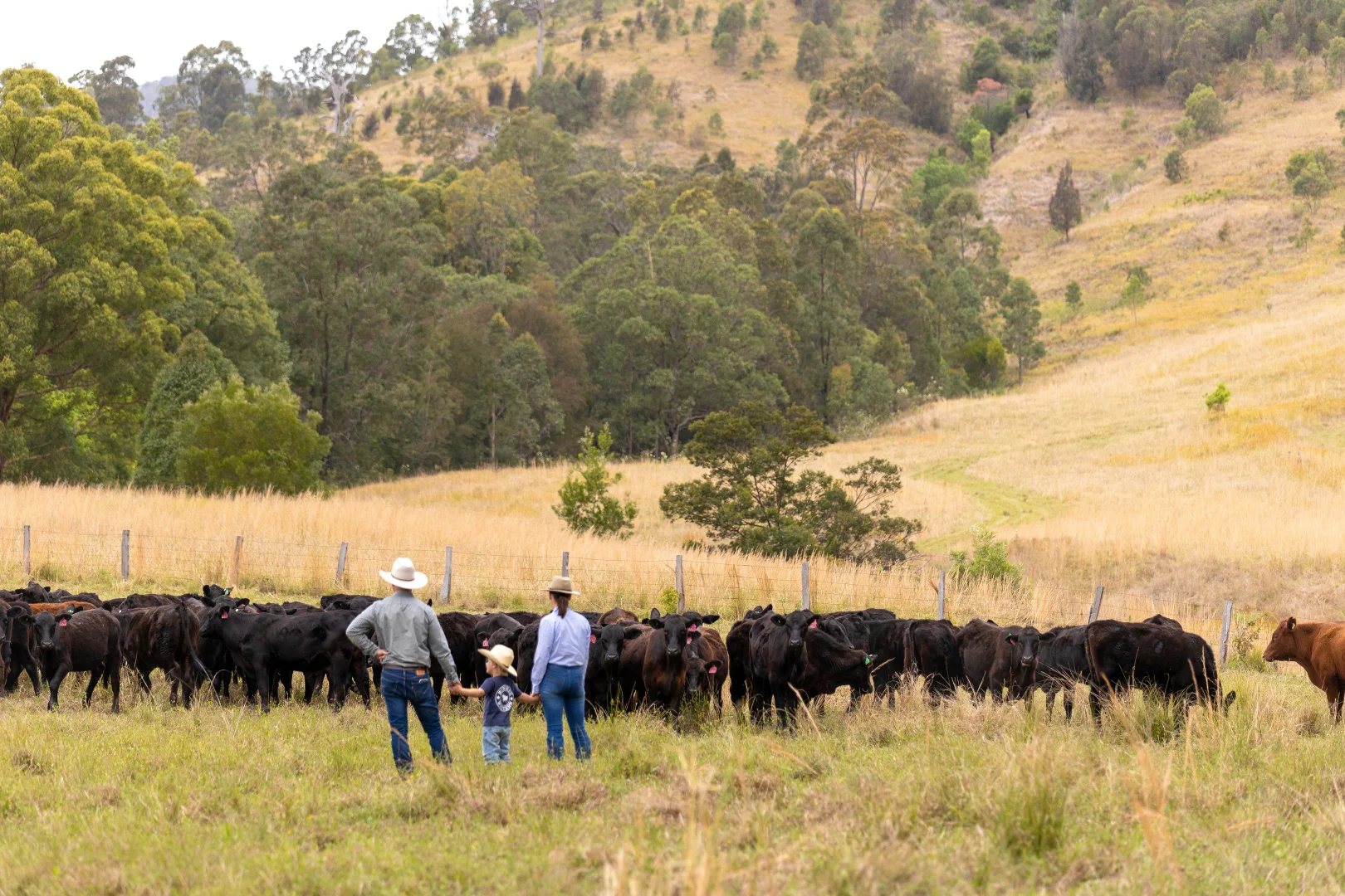 Additional image 18 of 152 Red Gully Road, Burrell Creek NSW 2429