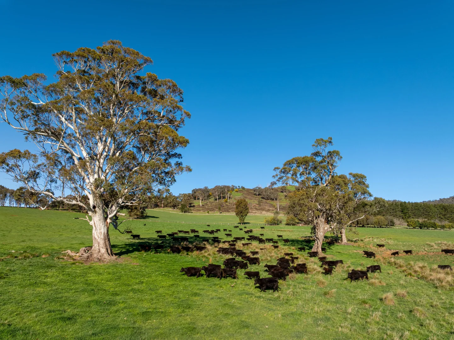 Additional image 26 of 71 Schoolhouse Road, Samaria VIC 3673