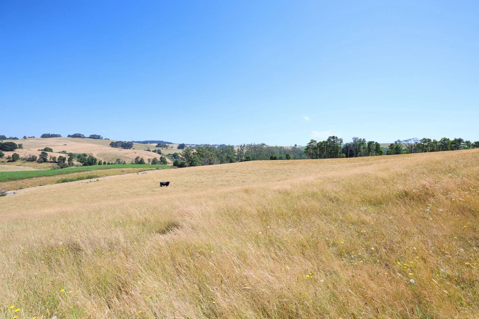 Additional image 7 of Lot 2/107 Cooks Road, Thorpdale VIC 3835