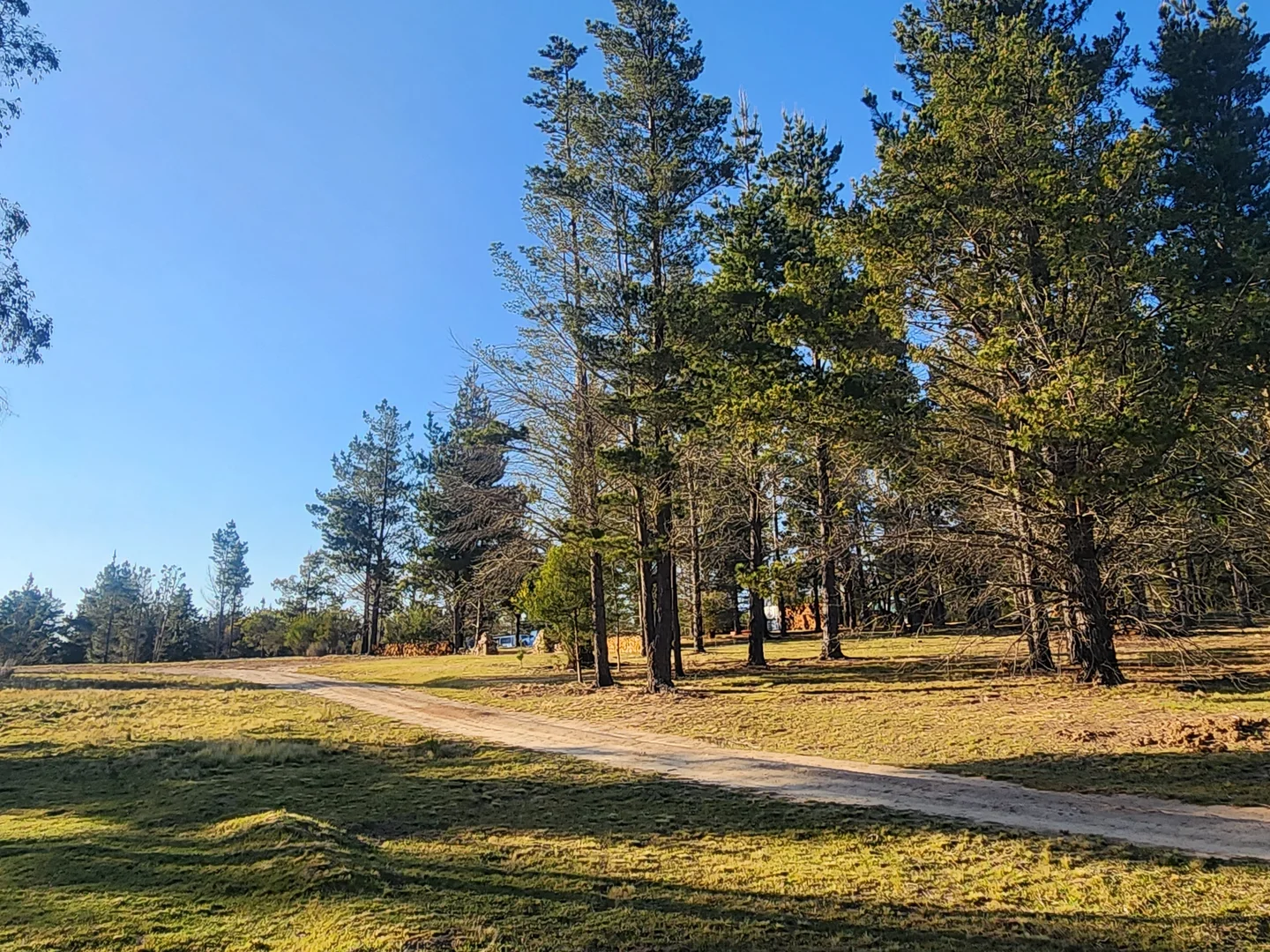 Additional image 18 of 480 Tall Timbers Road, Tomboye NSW 2622