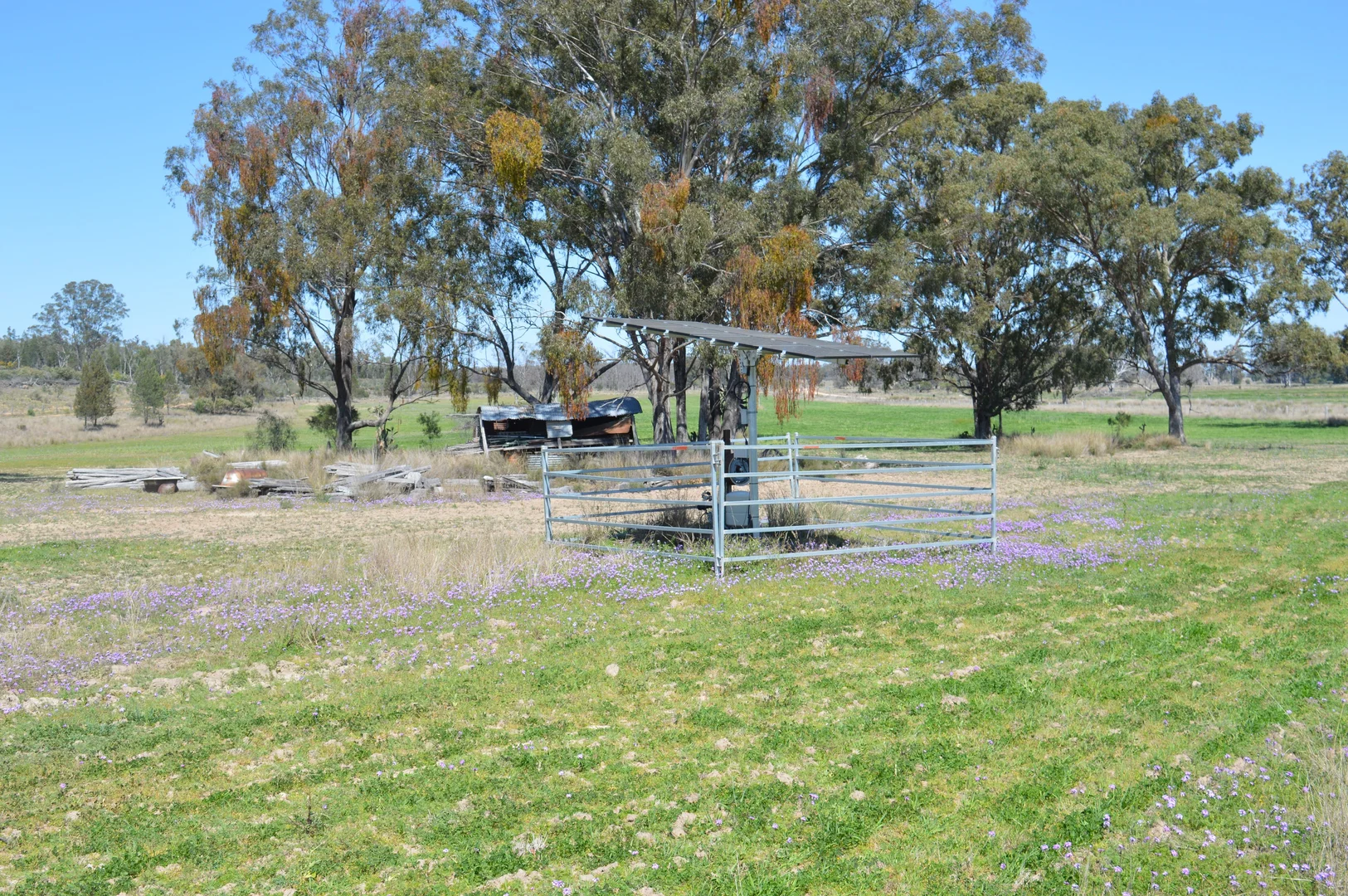 Additional image 8 of 3094 Mosquito Creek Road, Mosquito Creek QLD 4387