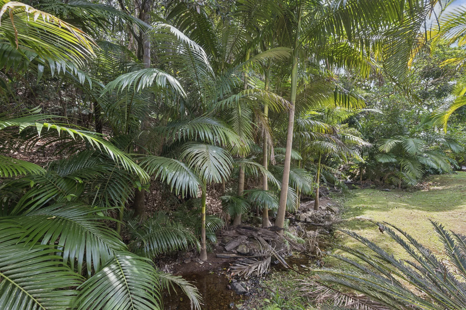 Additional image 8 of 141/8 Solitary Islands Way, Sapphire Beach NSW 2450