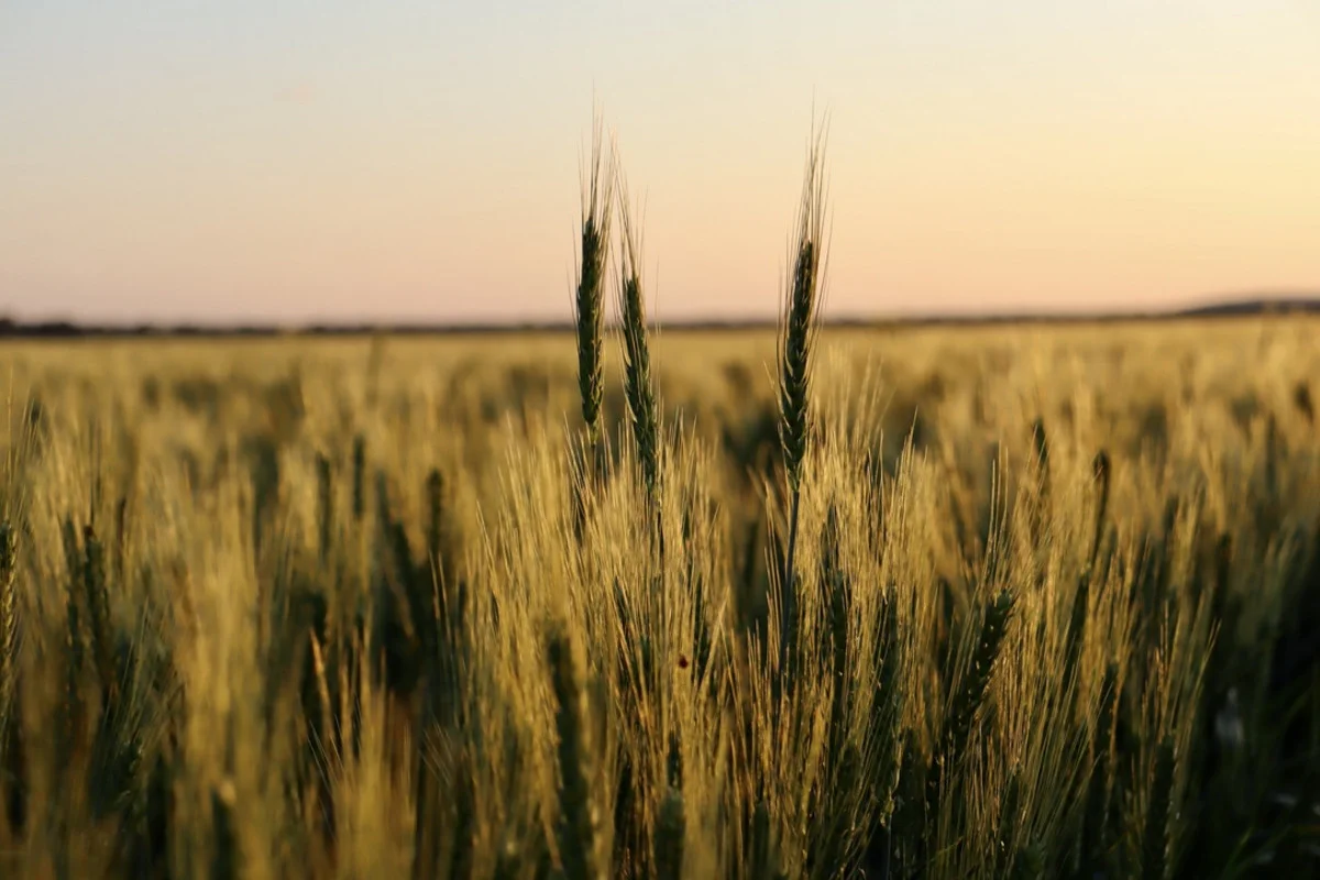 Additional image 6 of 19 - 'Kelinda'/1411 Moura-Bindaree Road, Moura QLD 4718