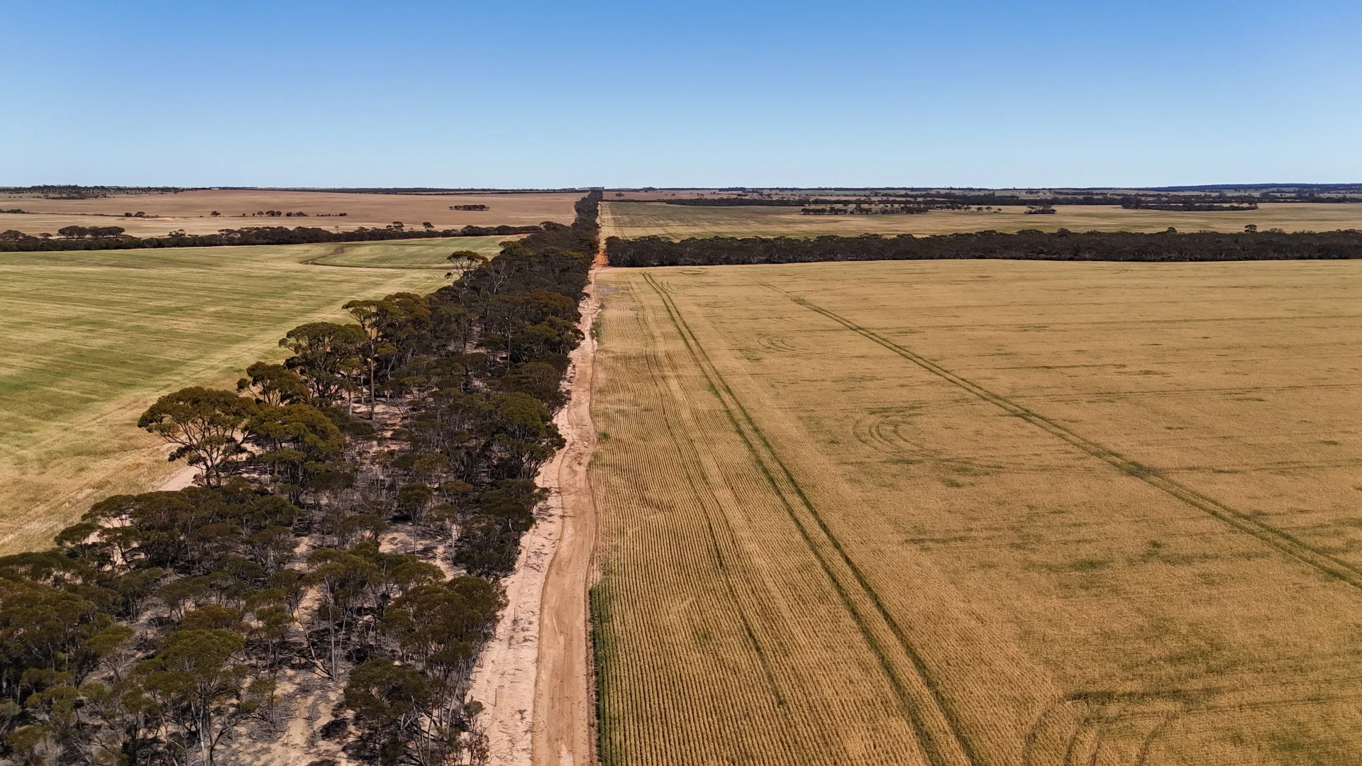 Additional image 44 of 3279 Calzoni Road, Hyden WA 6359