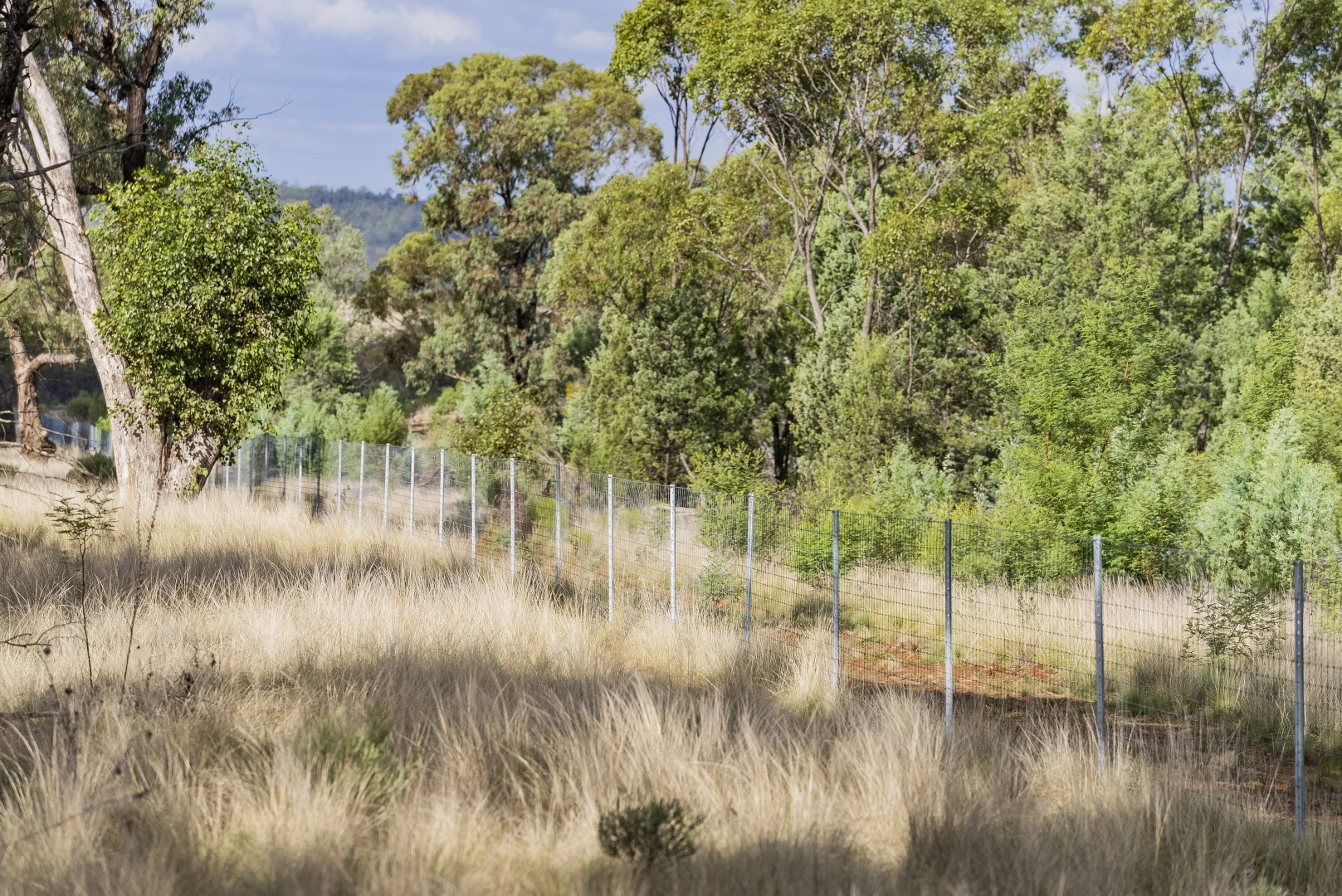 Additional image 15 of 431 The Springs Road, Rankins Springs NSW 2669