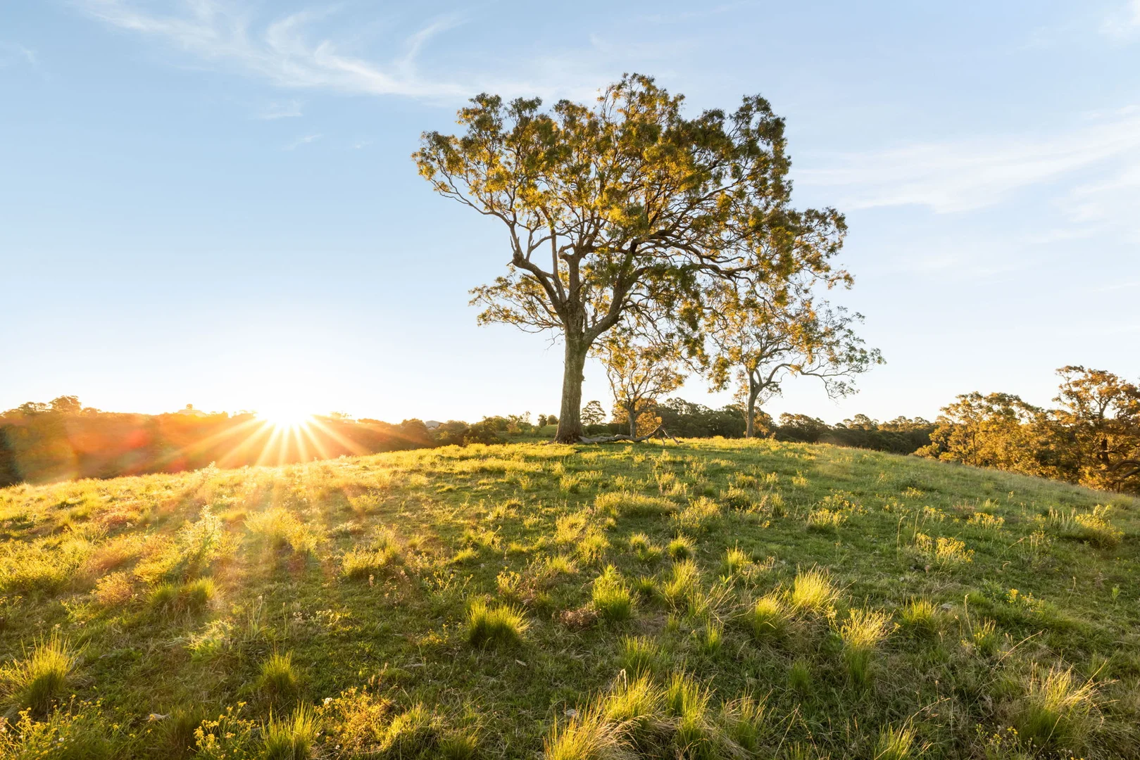 Additional image 4 of 161 Mount Hercules Road, Razorback NSW 2571