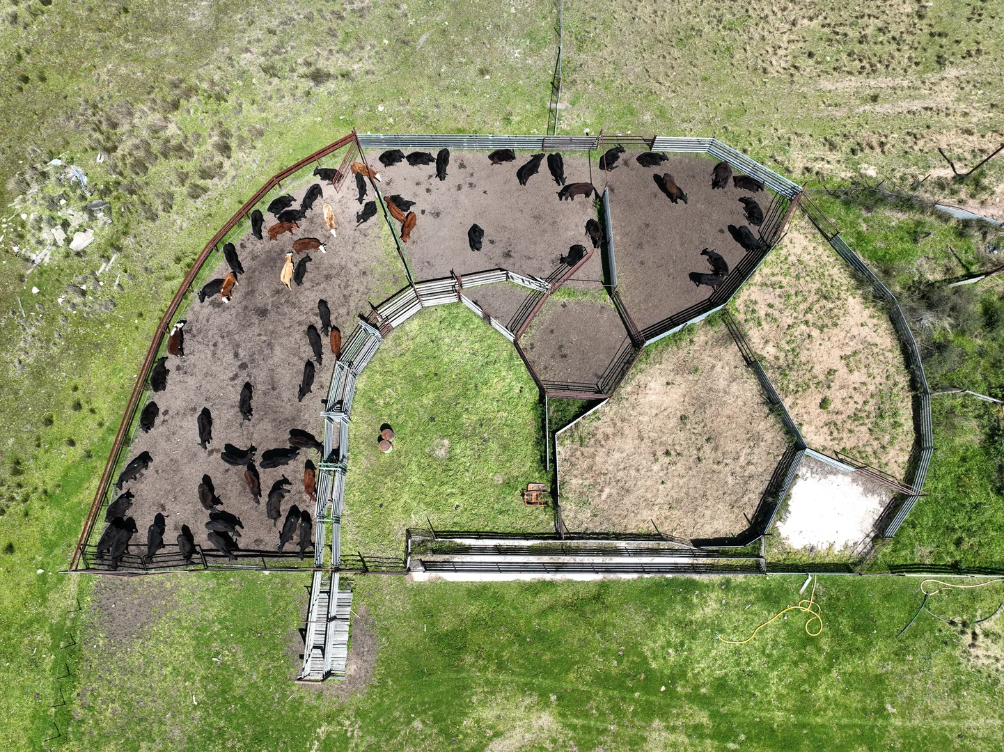 Additional image 16 of 4436 Yetman Road, Graman NSW 2360