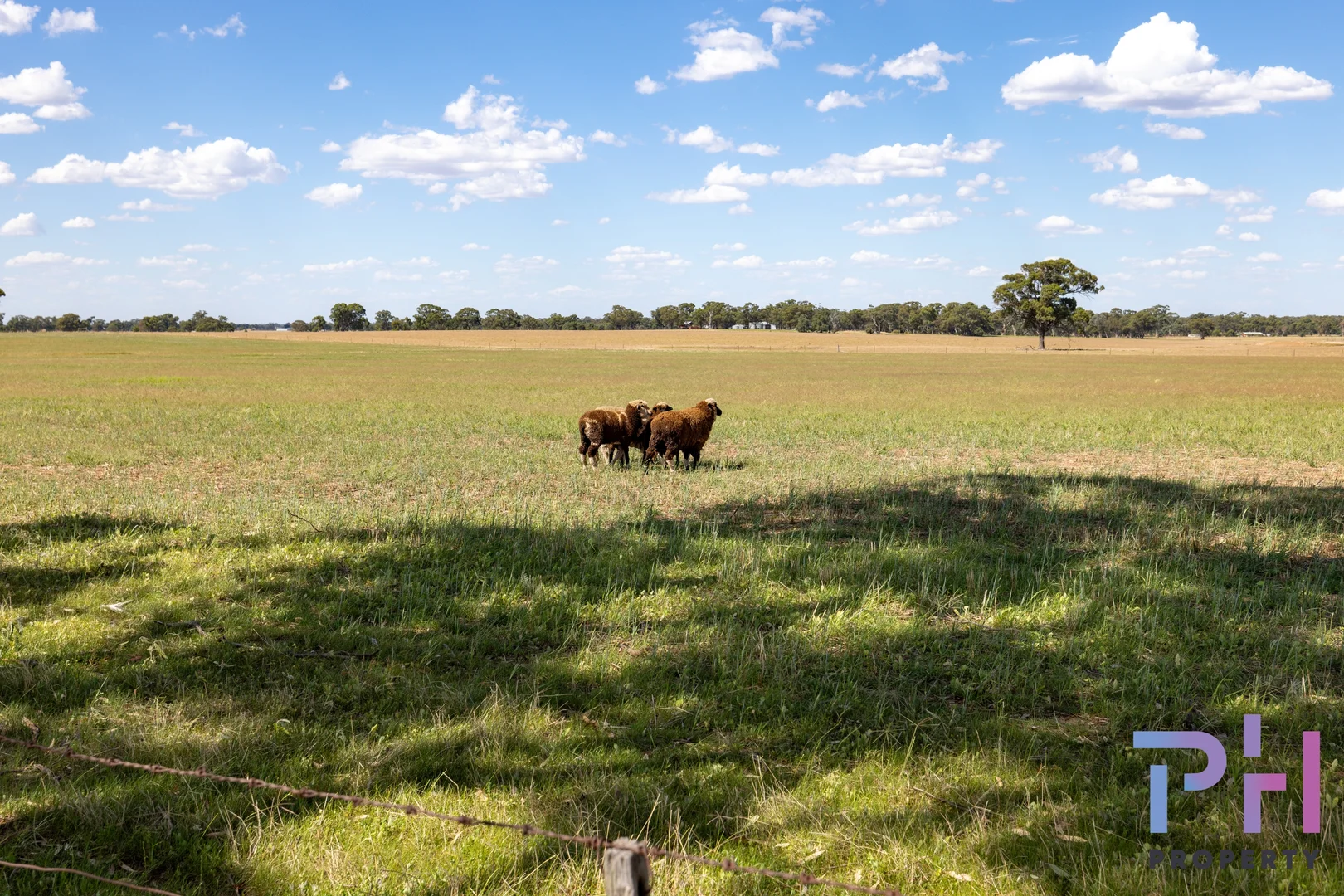 Additional image 5 of Lot 38 Jackson Lane, Neilborough VIC 3570