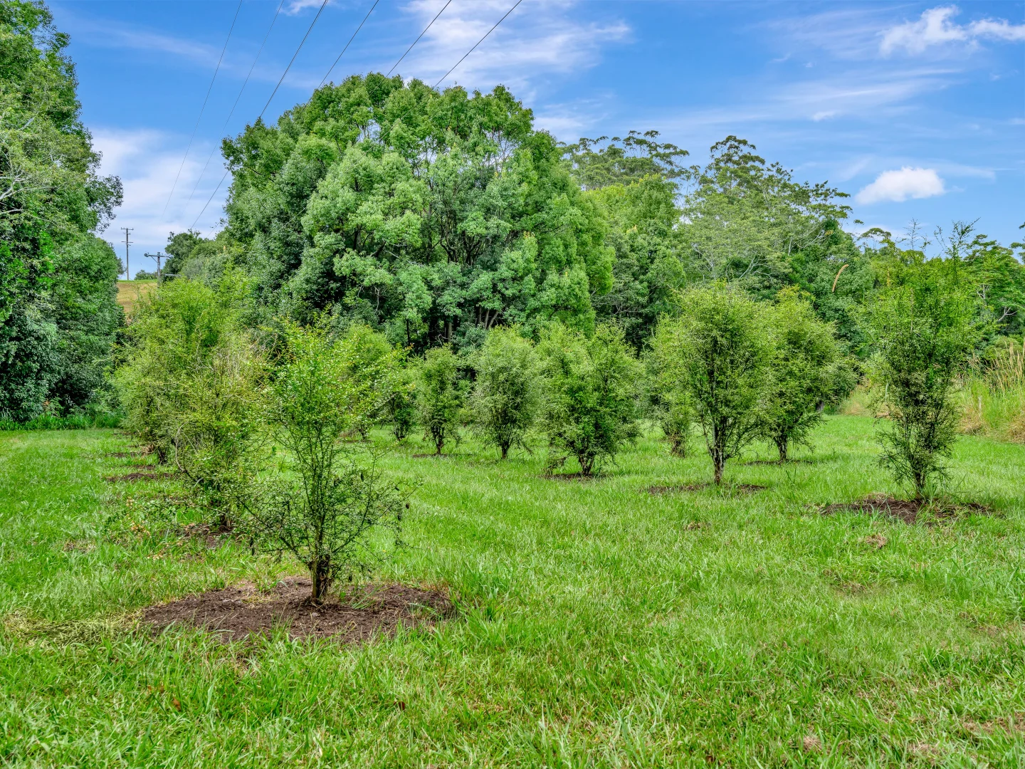 Additional image 24 of 73 Logans Road, Valla NSW 2448