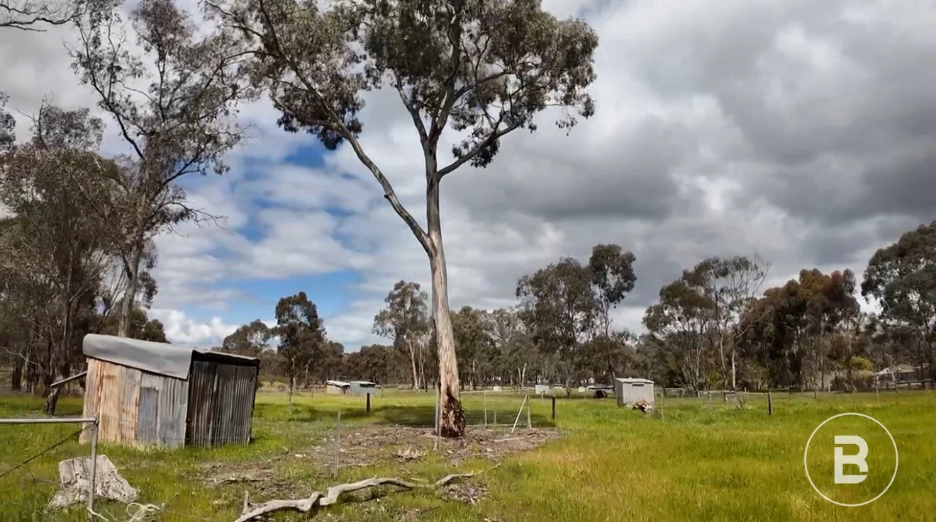 Additional image 13 of 363 Tullaroop Road, Maryborough VIC 3465