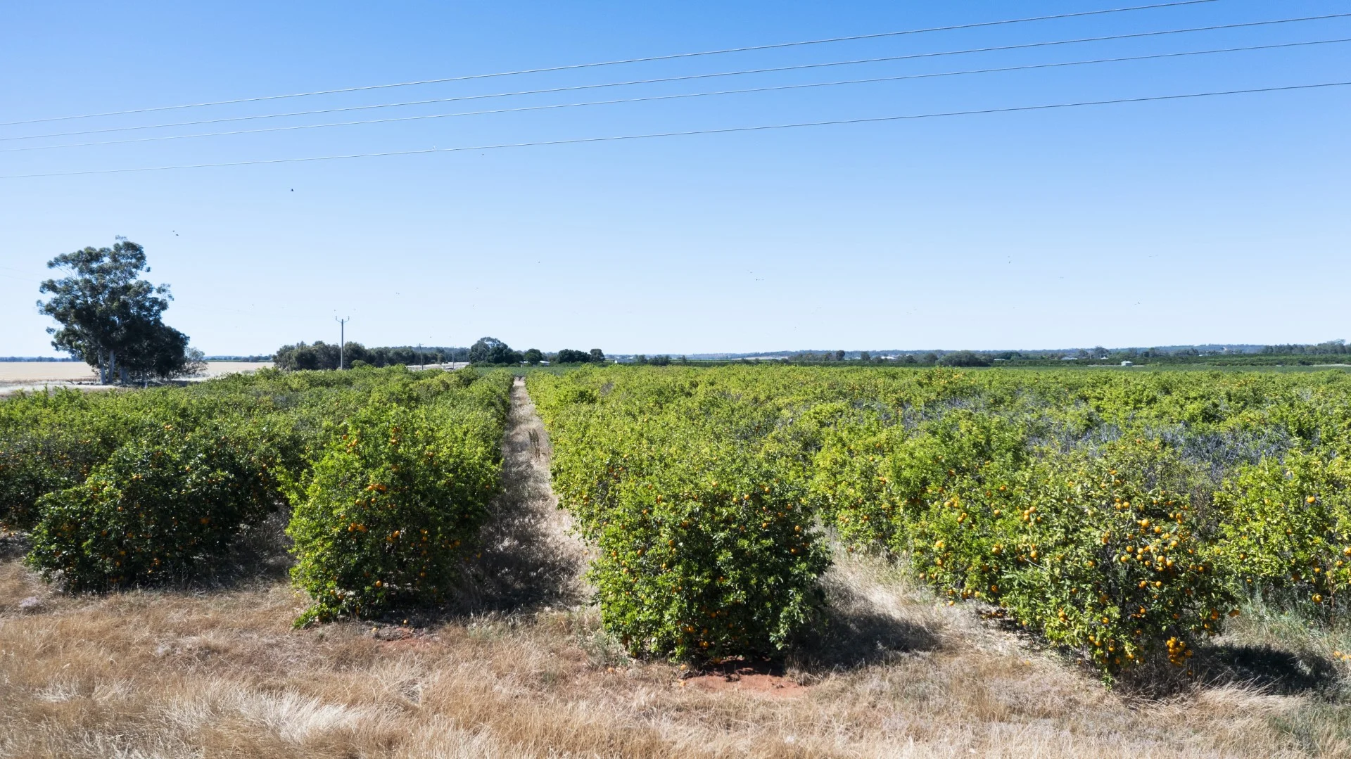 Additional image 21 of Robinson Road and Corbie Hill Road, Corbie Hill NSW 2705