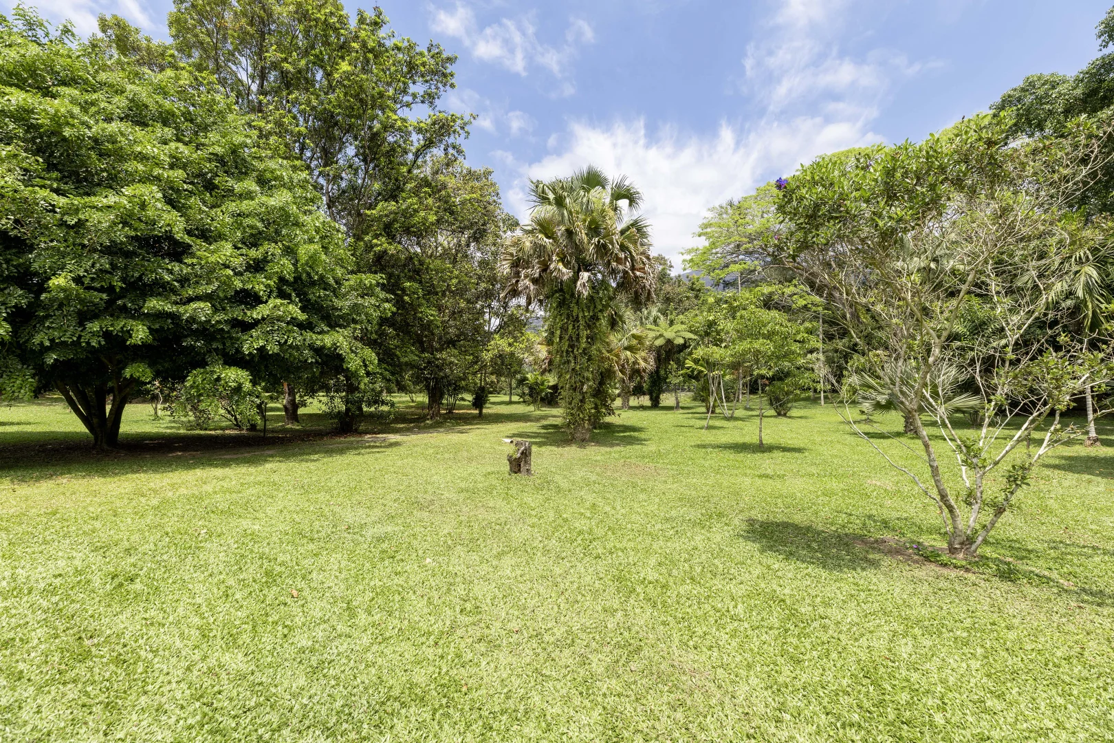 Additional image 32 of 516 Whyanbeel Road, Whyanbeel, Mossman QLD 4873
