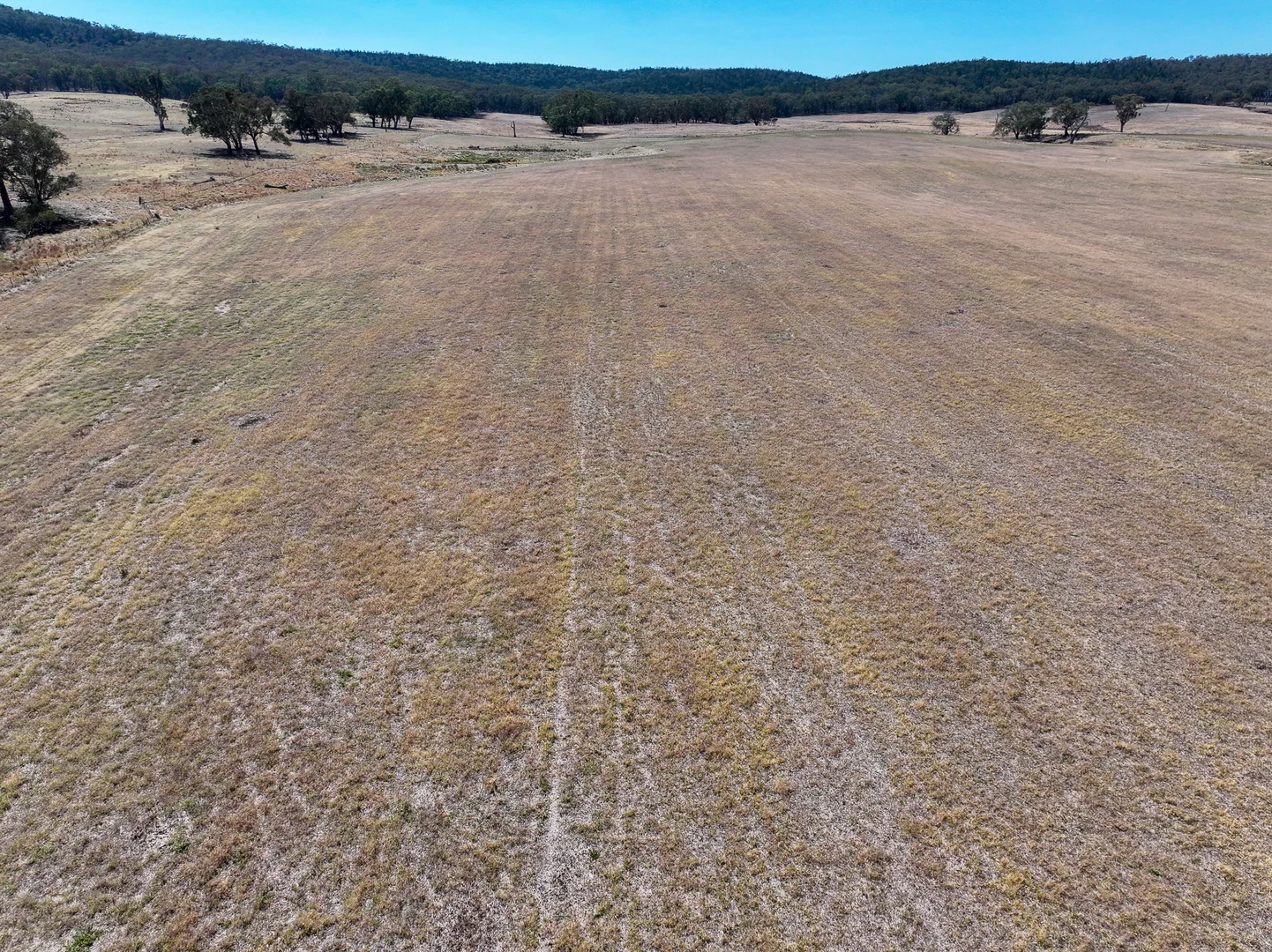 Additional image 10 of 'Yeronga' Piersons Road, Mangoplah NSW 2652