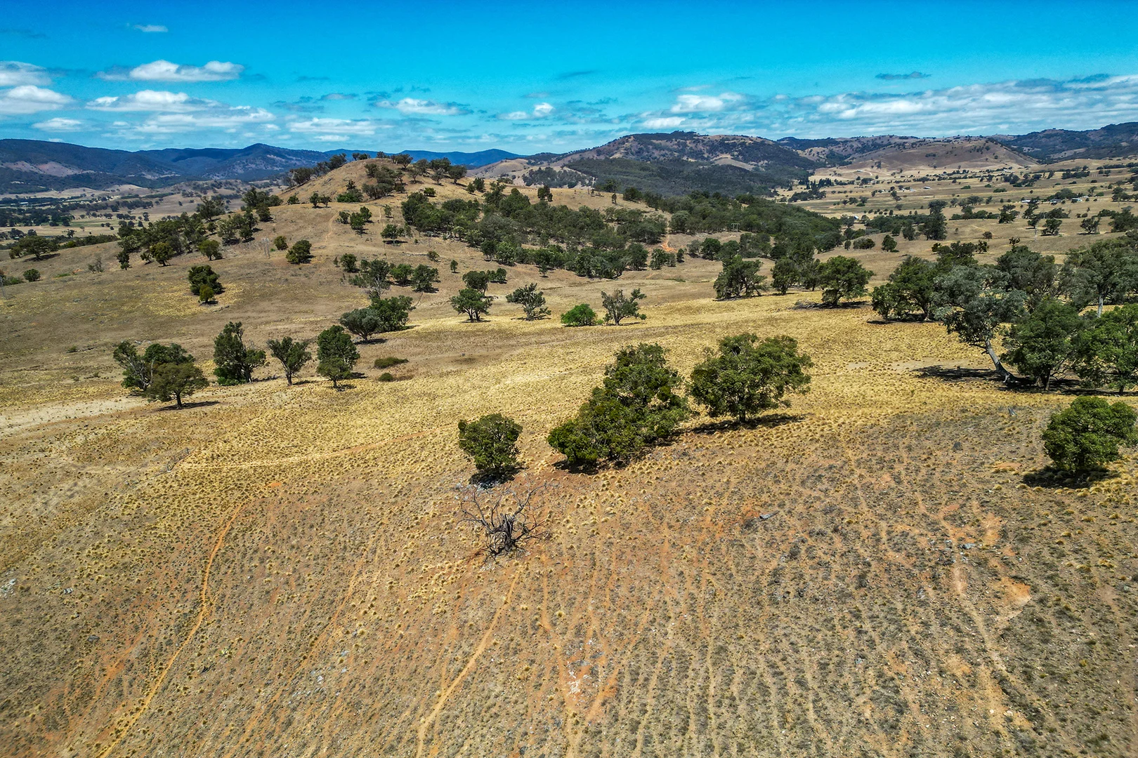 Additional image 8 of 856 Spring Flat Road, Spring Flat NSW 2850