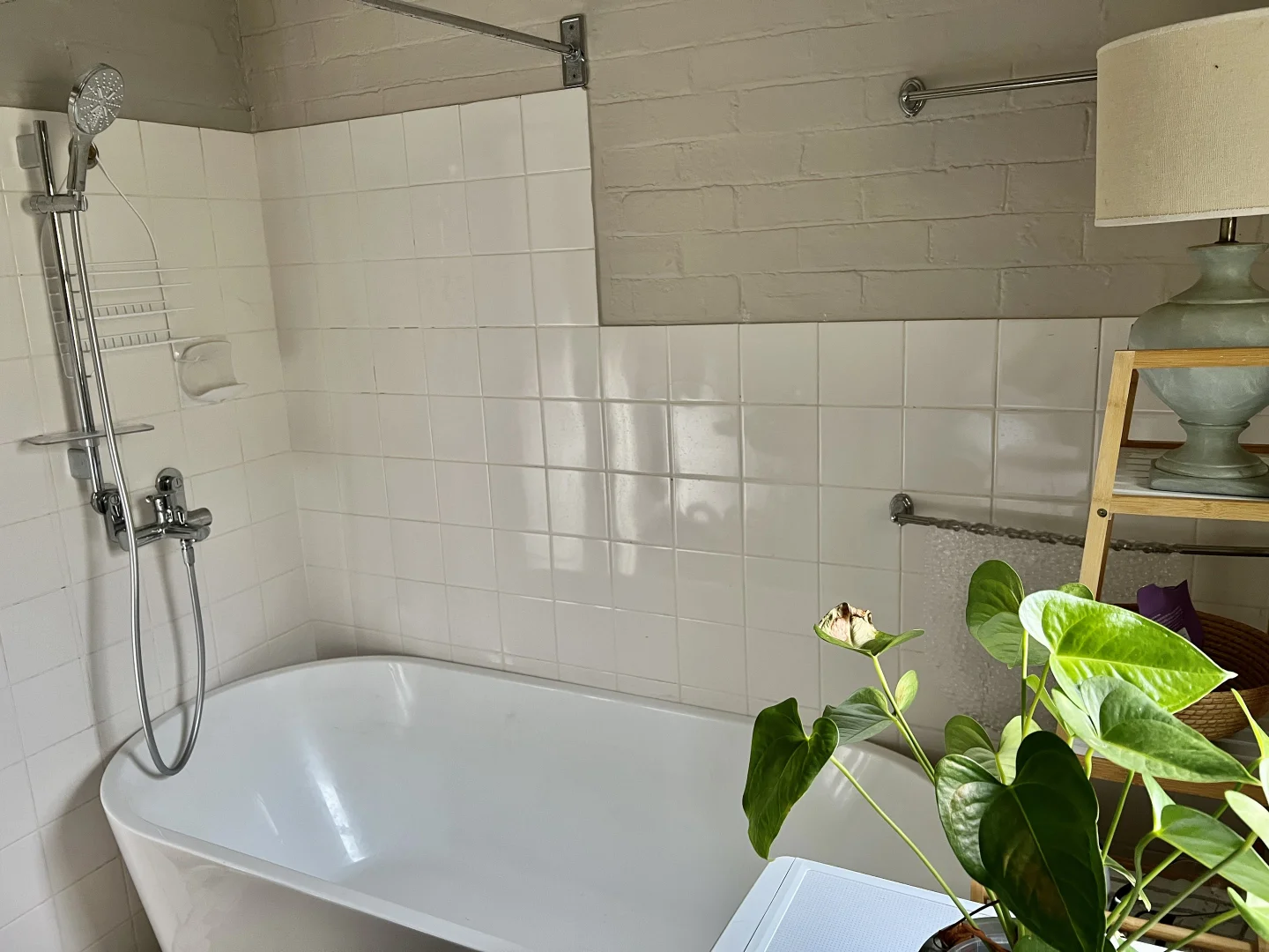 Additional image 10 of 61 Edwards Street, Young NSW 2594