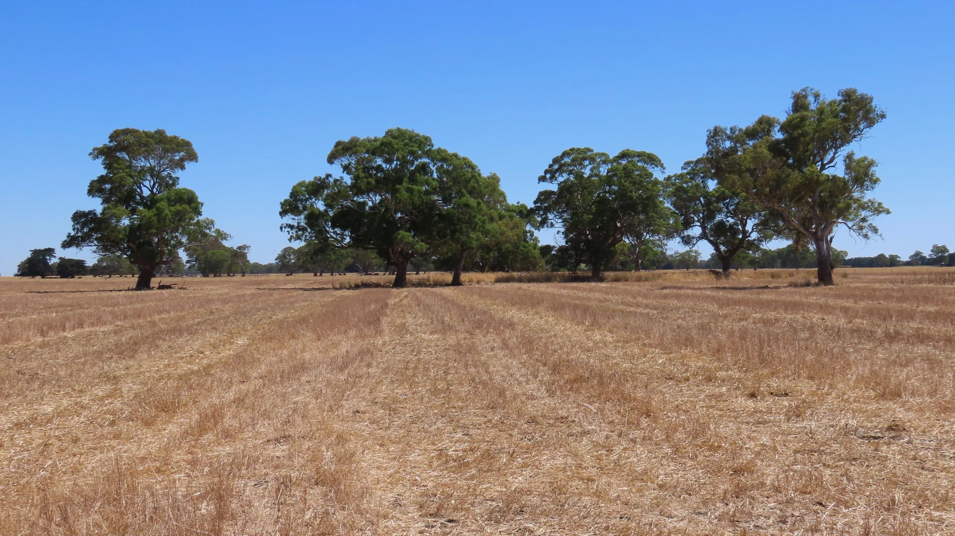 Additional image 22 of 8283 Clay Wells Rd, Penola SA 5277