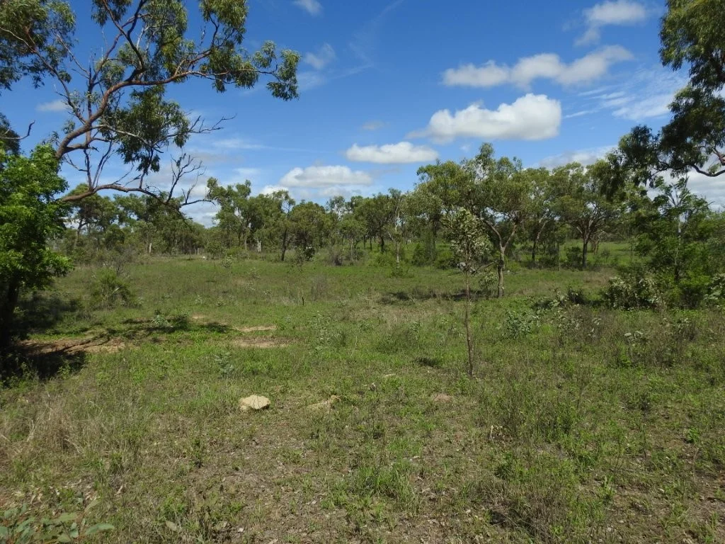 Additional image 24 of Flinders Highway, Breddan QLD 4820