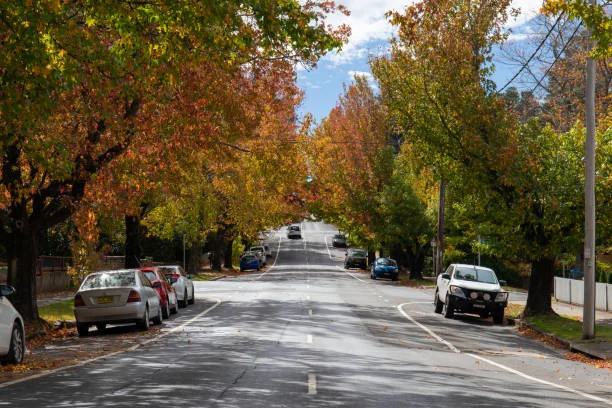 Additional image 9 of 41 Prince Edward Street, Blackheath NSW 2785