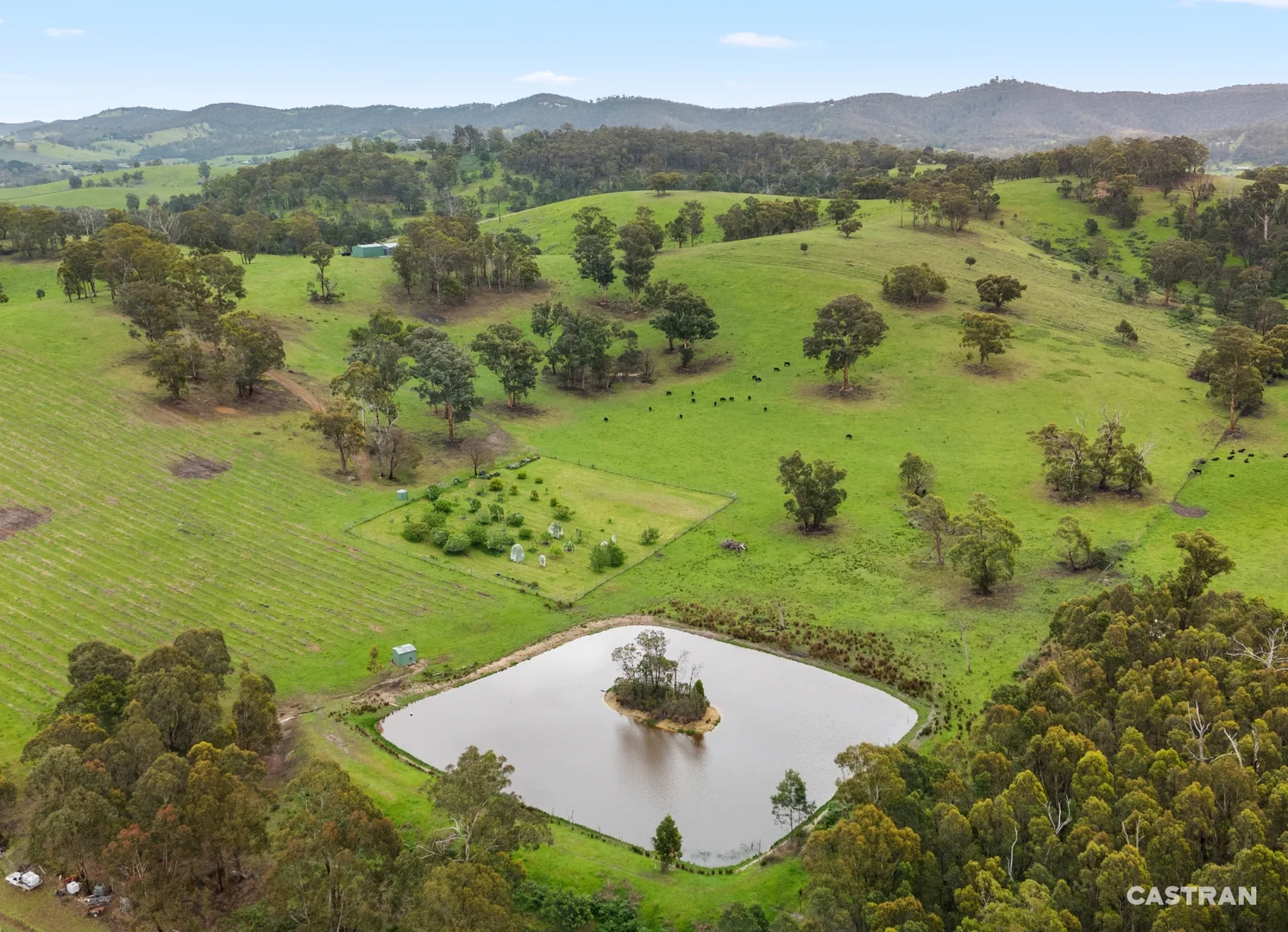 Additional image 3 of 120 Wills Road, Dixons Creek VIC 3775