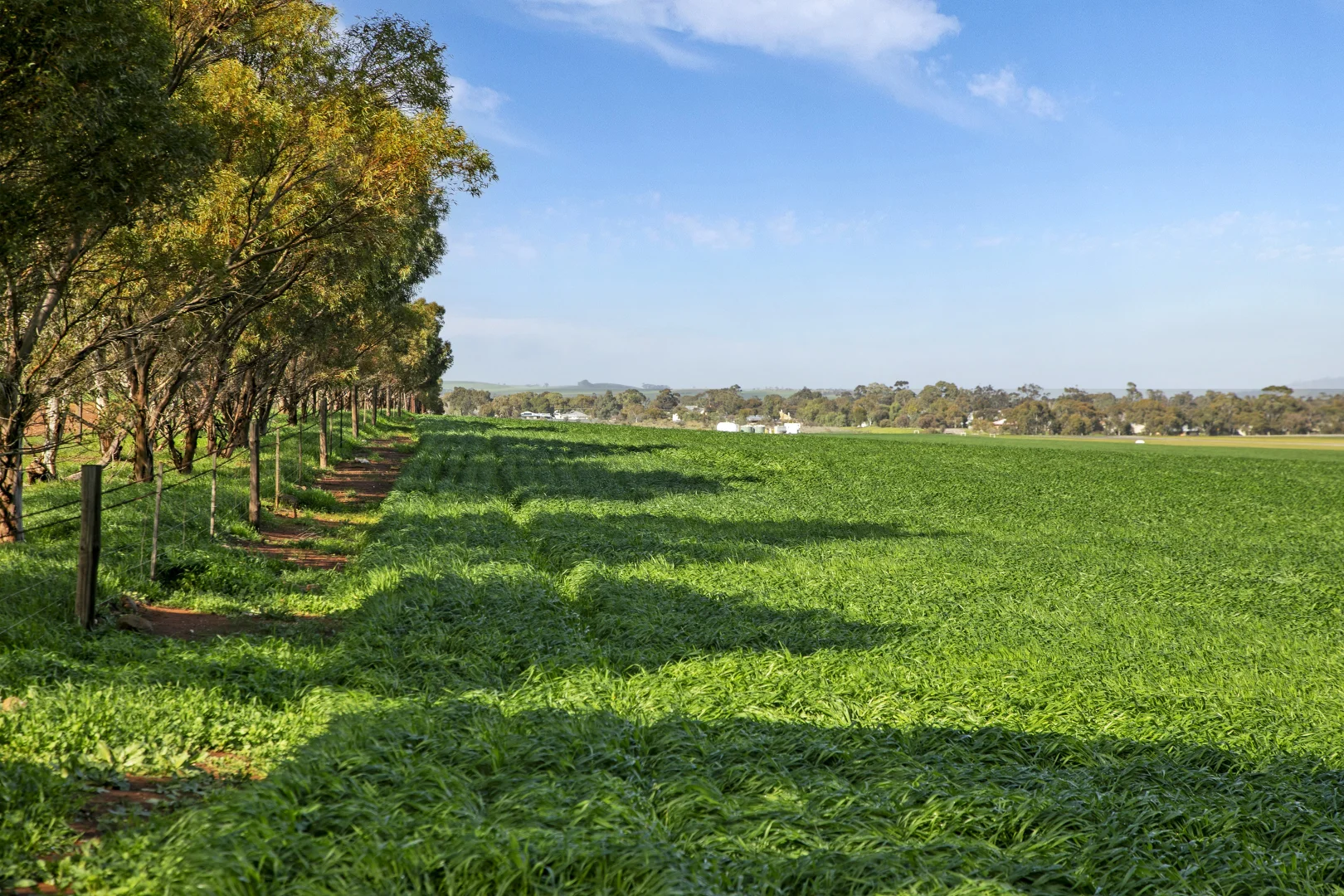 Additional image 17 of 'Hamilton Run Farm' Murchland Drive, Jamestown SA 5491
