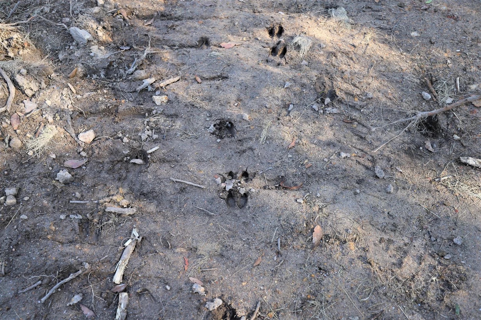 Additional image 18 of Lot 34, 35, 36, 79 Monaro Highway, Rockton NSW 2632