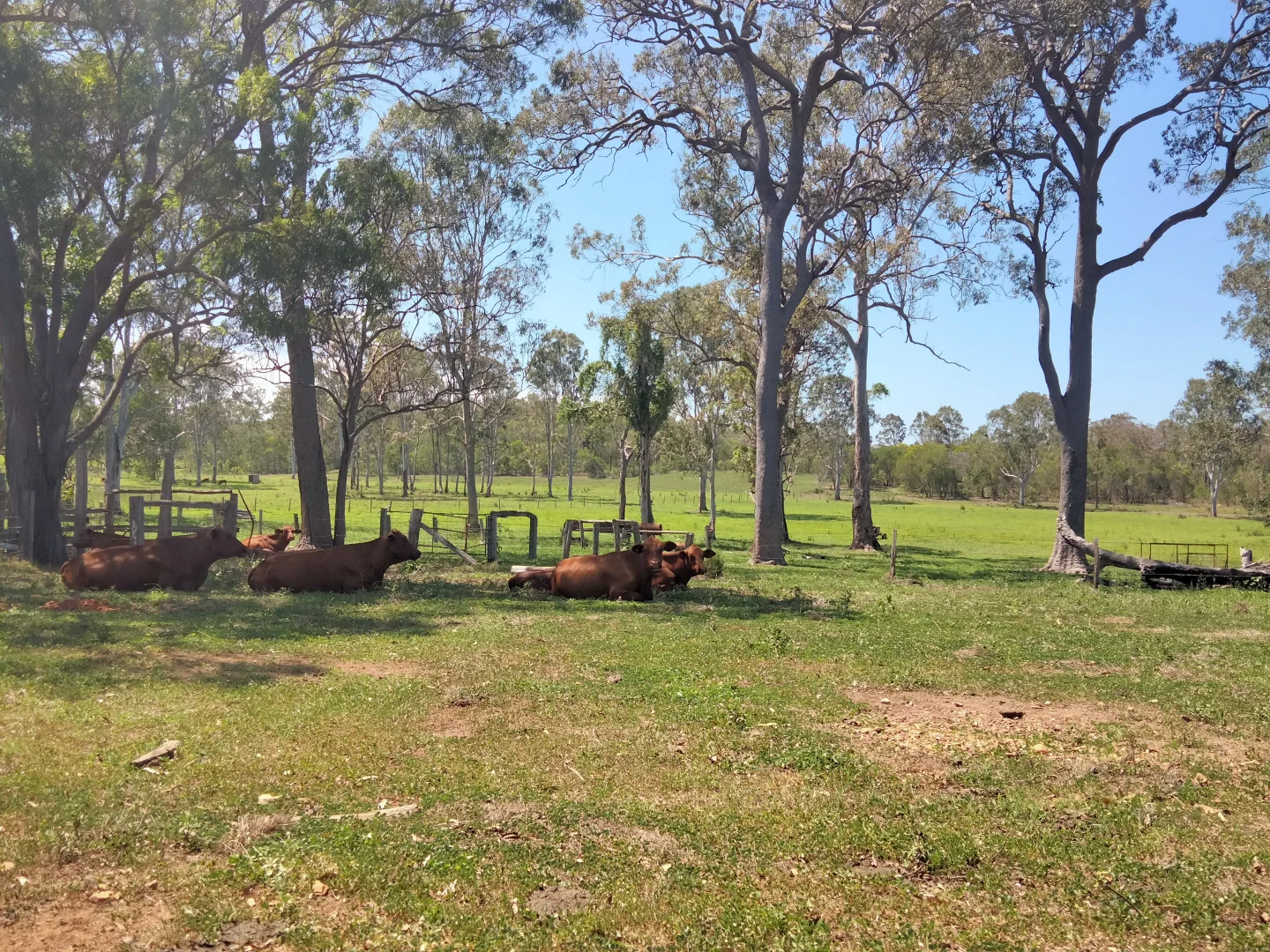 Additional image 19 of 2913 Rosedale Road, Yandaran QLD 4673