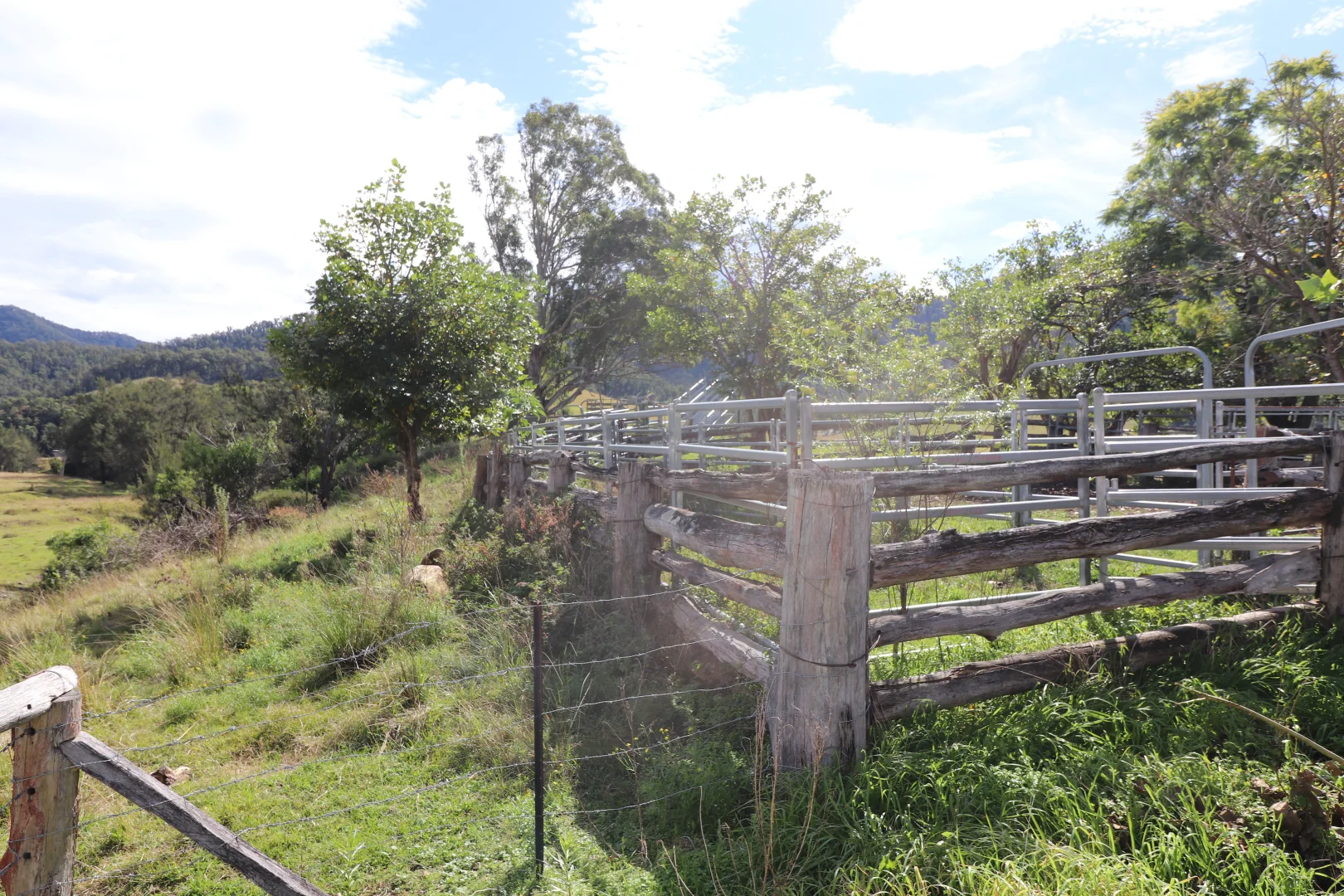 Additional image 18 of 2 Lower Creek Rd, Lower Creek NSW 2440