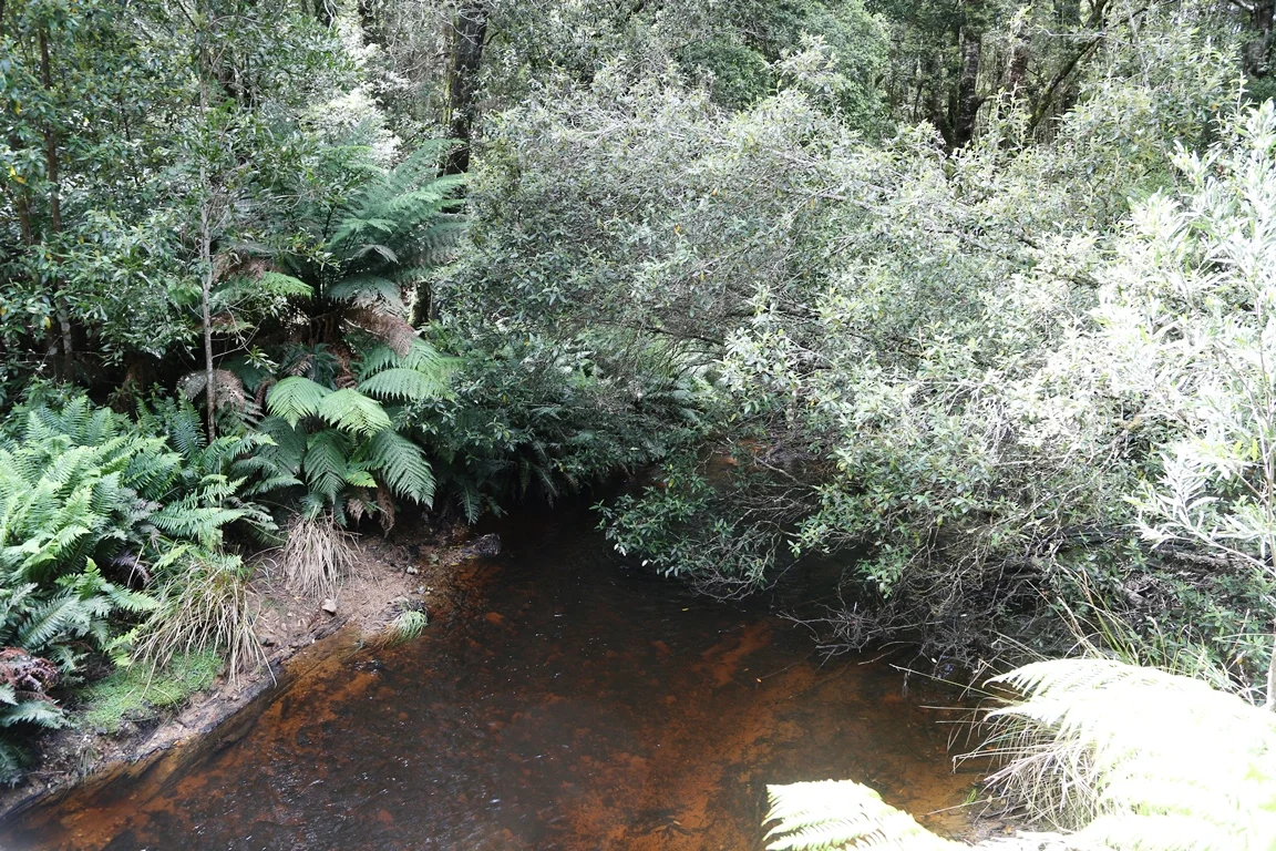 Additional image 7 of 1 Croles Road, Trowutta TAS 7330