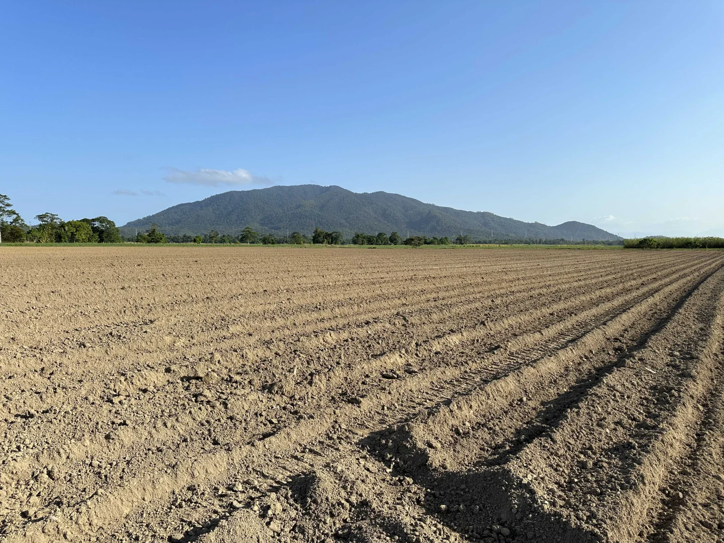 Additional image 9 of Lot 2 Broderick Road, Midgenoo QLD 4854