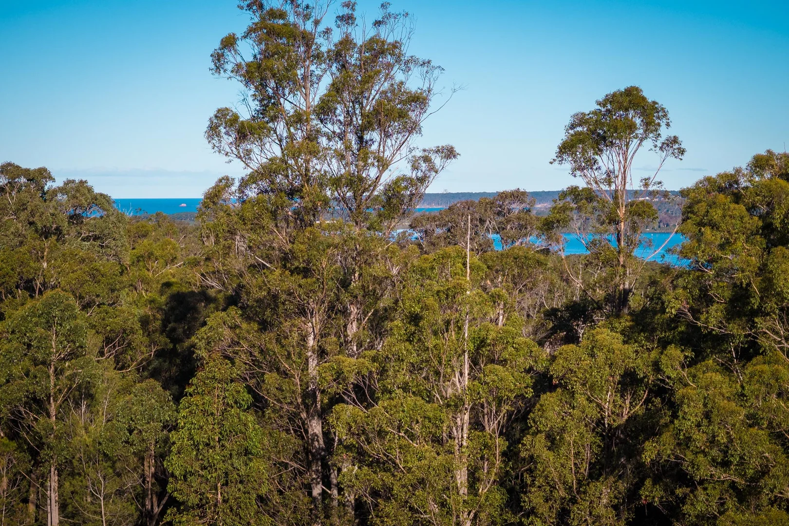 Additional image 2 of 16 Millingandi Short Cut Road, Millingandi NSW 2549