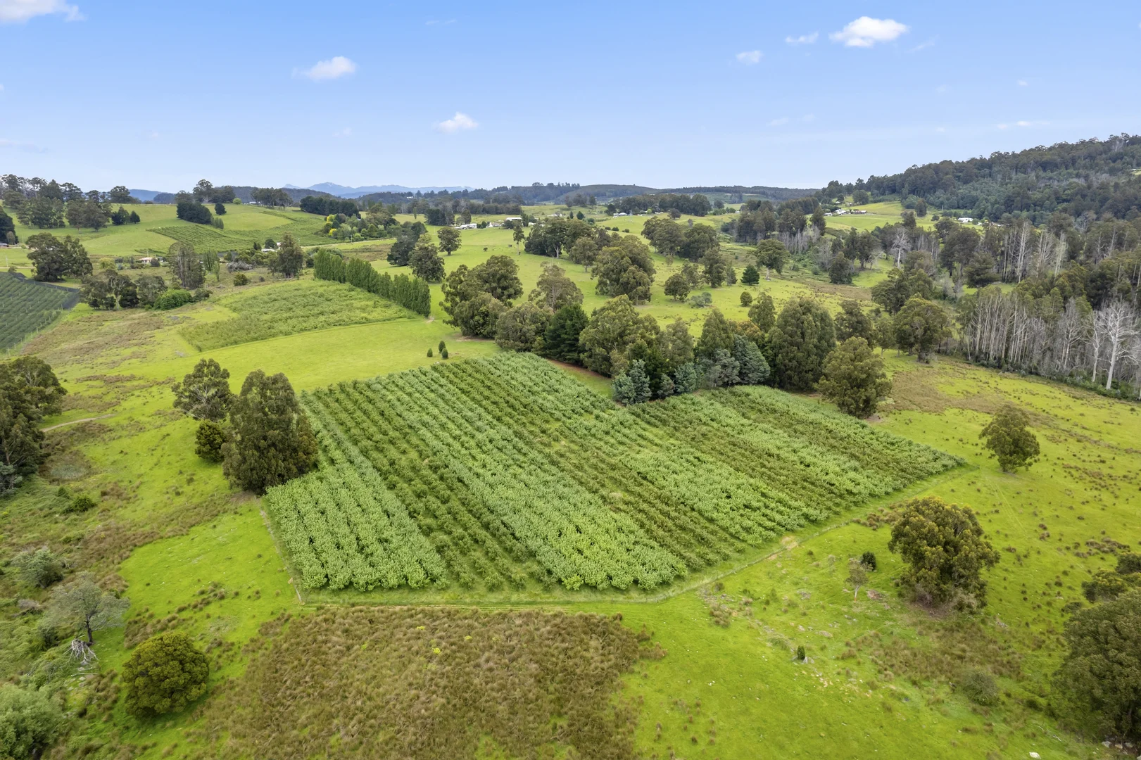 Additional image 4 of Lot  1 Flakemore Road, Franklin TAS 7113