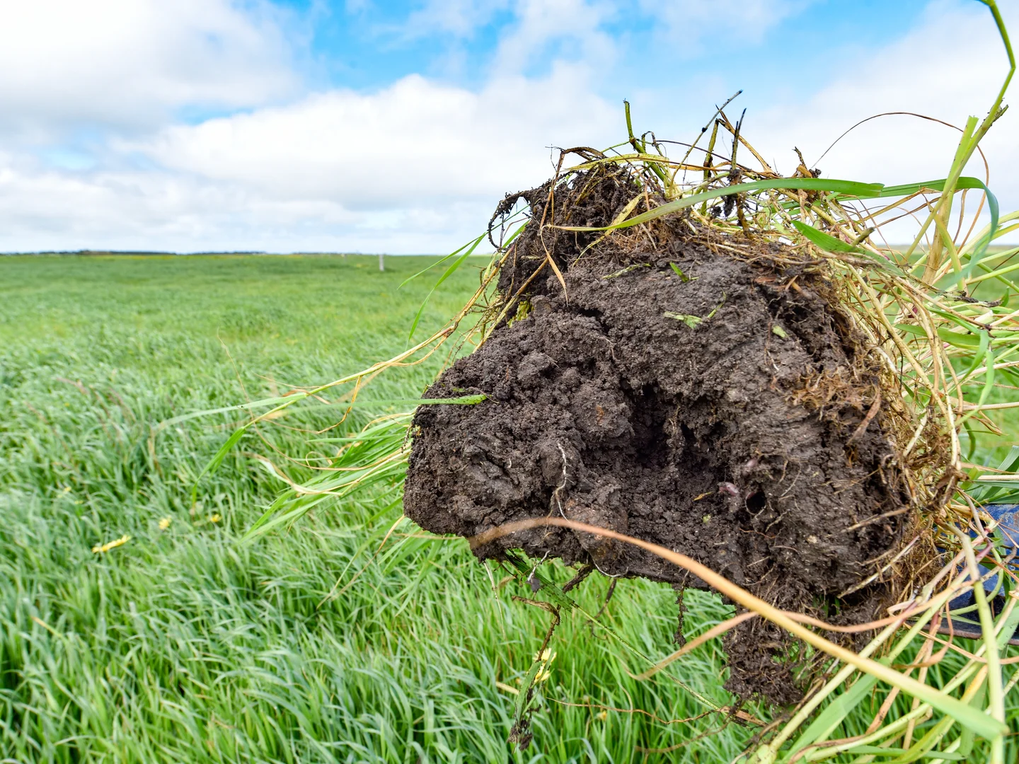 Additional image 16 of Spehrs Road, Nene Valley SA 5291