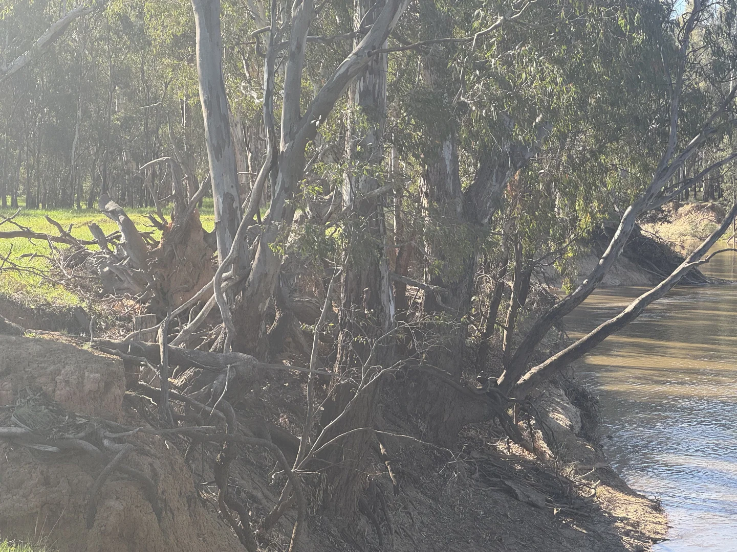 Additional image 36 of . Bangerang Road, Kanyapella VIC 3564