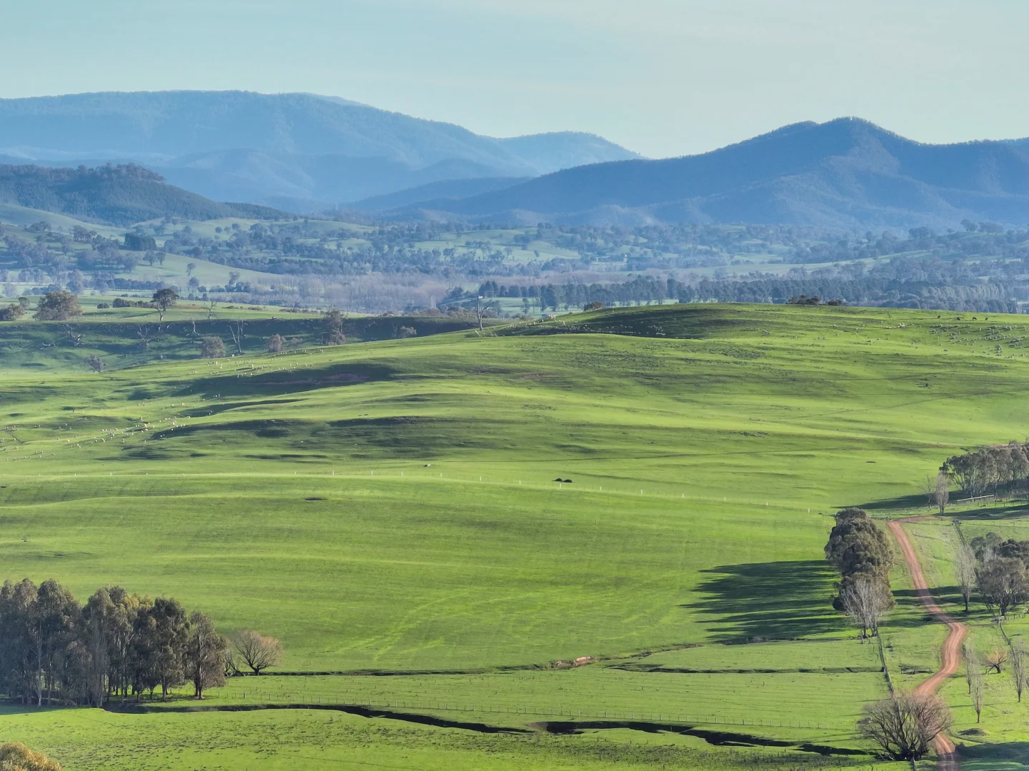 Additional image 3 of Lot 1, 214 Hearns Road, Boorolite VIC 3723