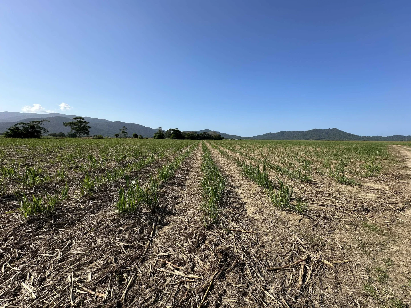 Additional image 7 of Lot 2 Broderick Road, Midgenoo QLD 4854