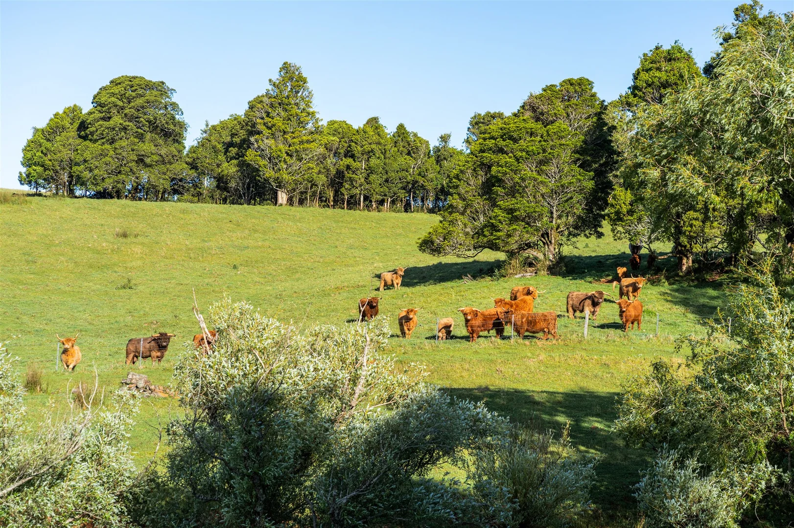 Additional image 20 of 4980 Illawarra Highway, Robertson NSW 2577