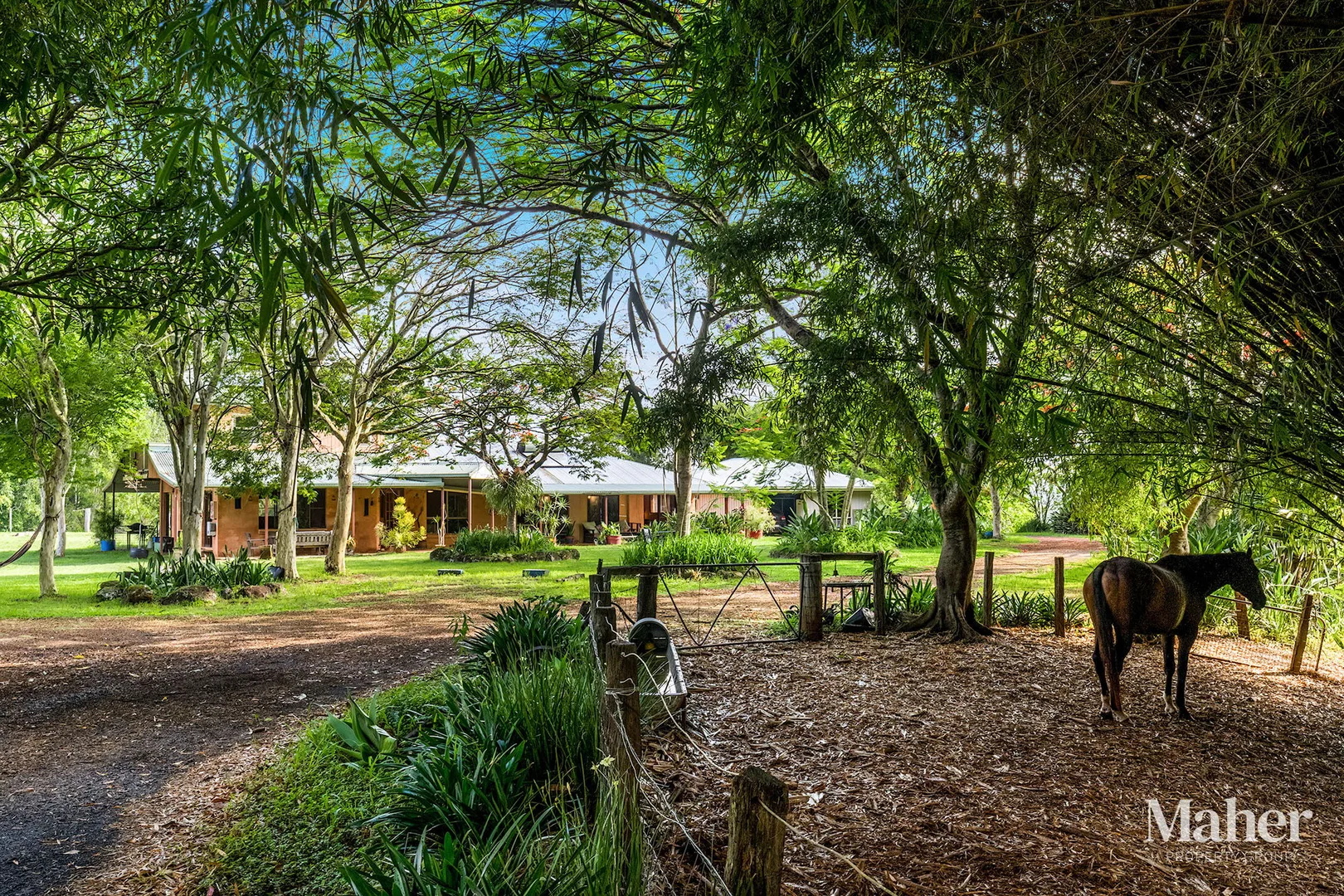 Additional image 26 of 141 Pearson Road, Eltham NSW 2480