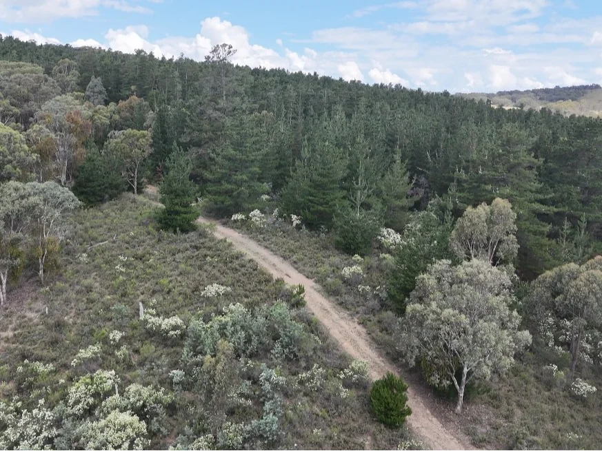 Additional image 22 of Lot 2 Kentucky Road, Neville NSW 2799